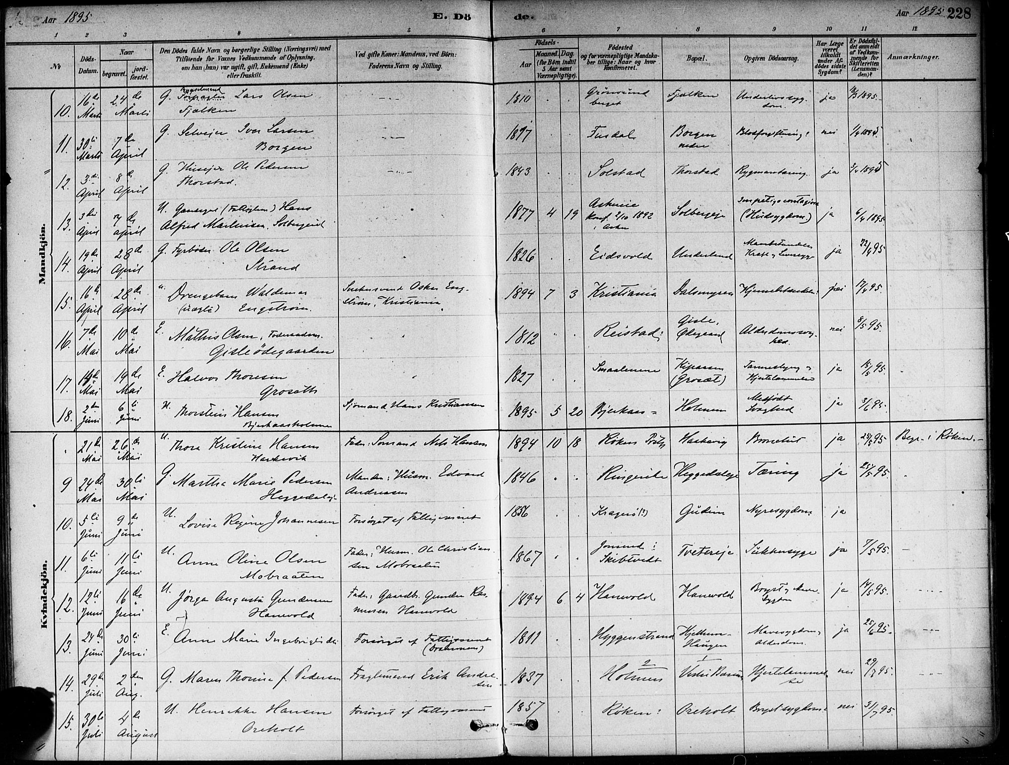 Asker prestekontor Kirkebøker, AV/SAO-A-10256a/F/Fa/L0013: Ministerialbok nr. I 13, 1879-1896, s. 228