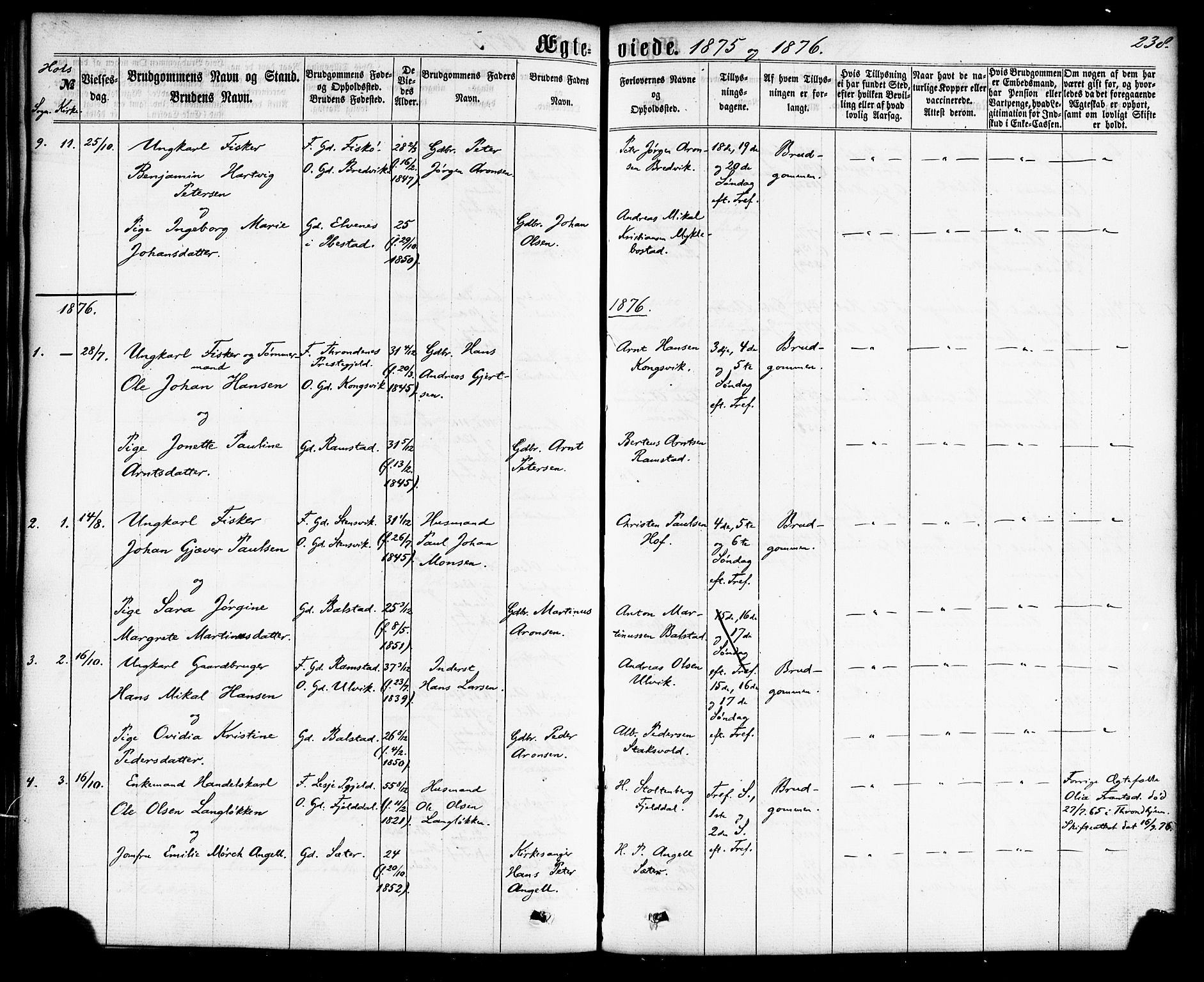 Ministerialprotokoller, klokkerbøker og fødselsregistre - Nordland, AV/SAT-A-1459/865/L0923: Ministerialbok nr. 865A01, 1864-1884, s. 238