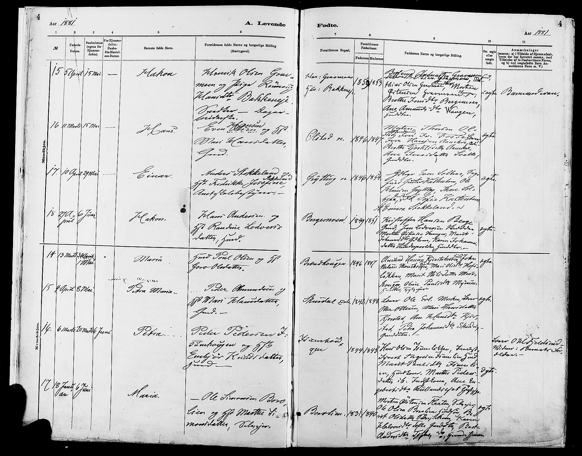 Sør-Fron prestekontor, AV/SAH-PREST-010/H/Ha/Haa/L0003: Ministerialbok nr. 3, 1881-1897, s. 4