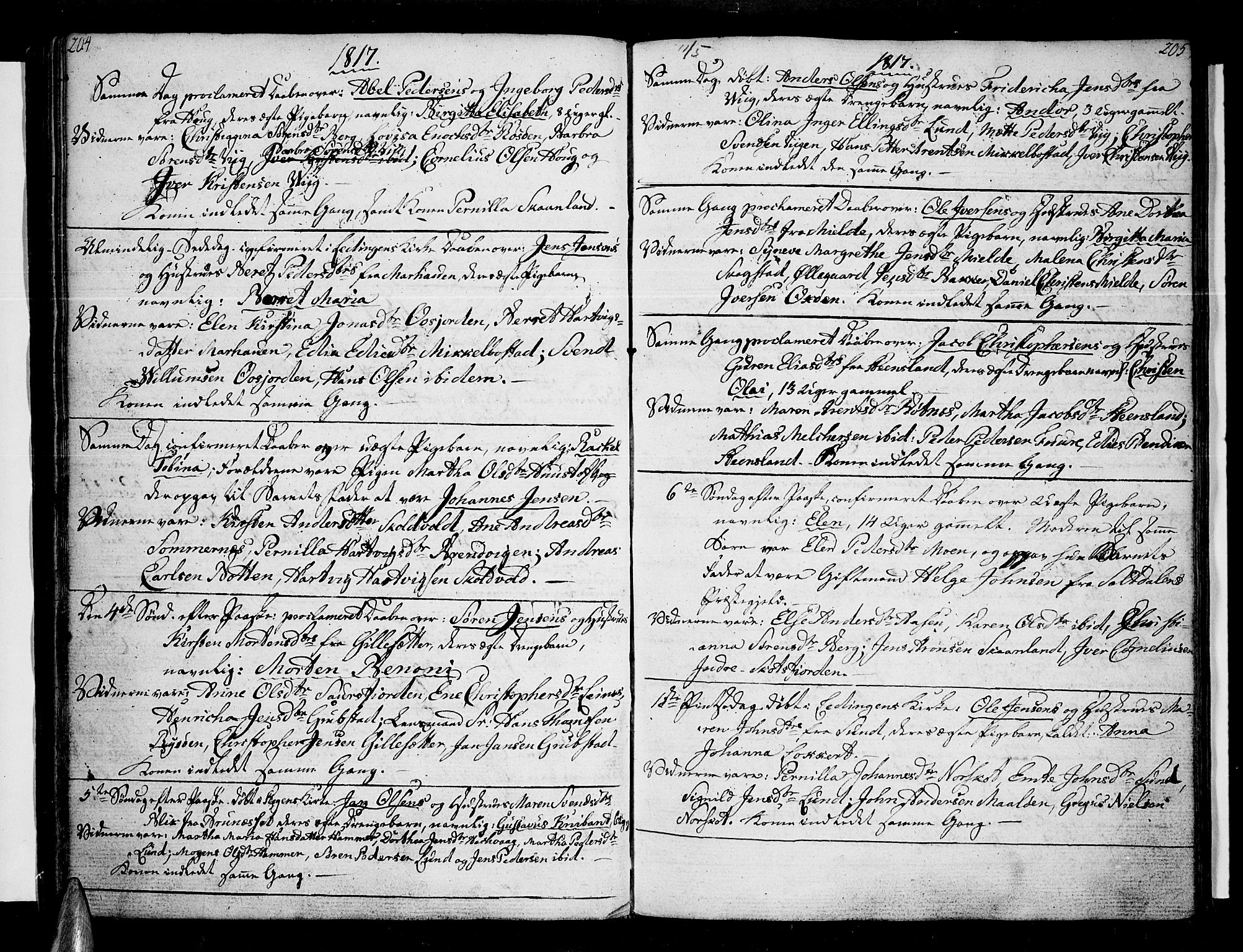 Ministerialprotokoller, klokkerbøker og fødselsregistre - Nordland, AV/SAT-A-1459/855/L0797: Ministerialbok nr. 855A05, 1800-1820, s. 204-205