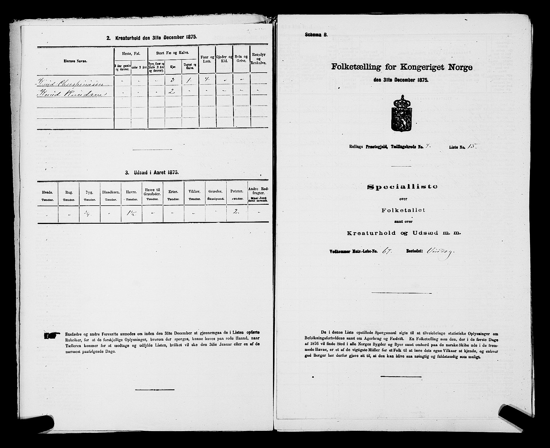 SAKO, Folketelling 1875 for 0632P Rollag prestegjeld, 1875, s. 250