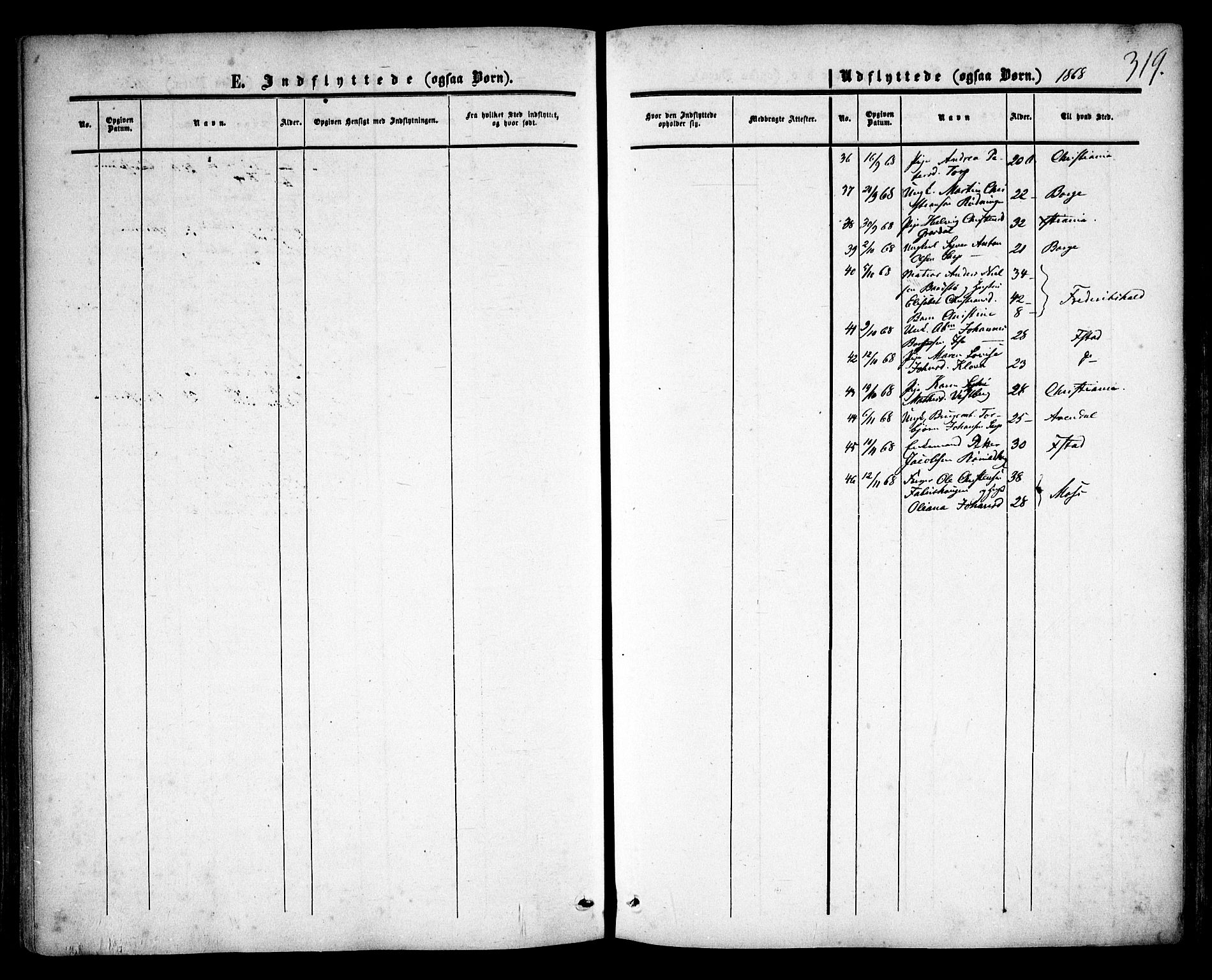 Skjeberg prestekontor Kirkebøker, SAO/A-10923/F/Fa/L0007: Ministerialbok nr. I 7, 1859-1868, s. 319