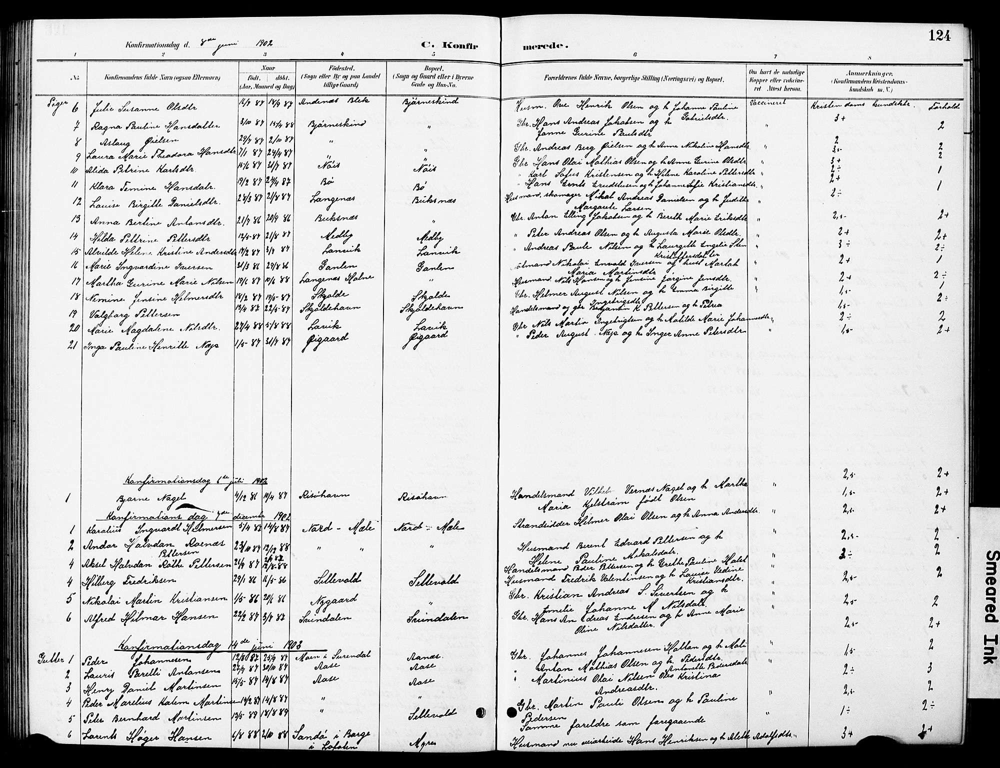 Ministerialprotokoller, klokkerbøker og fødselsregistre - Nordland, AV/SAT-A-1459/897/L1413: Klokkerbok nr. 897C03, 1887-1903, s. 124