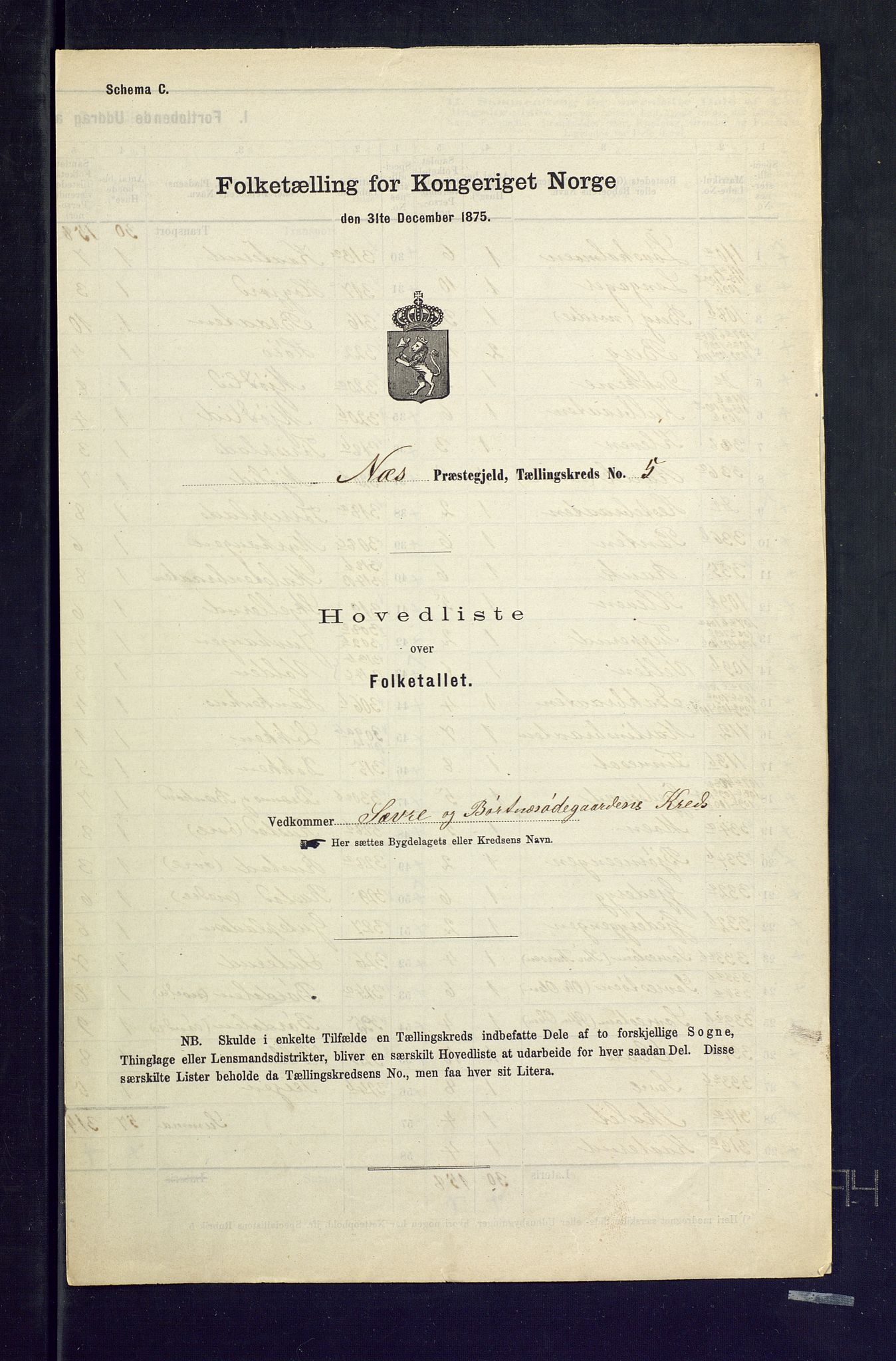 SAKO, Folketelling 1875 for 0616P Nes prestegjeld, 1875, s. 24