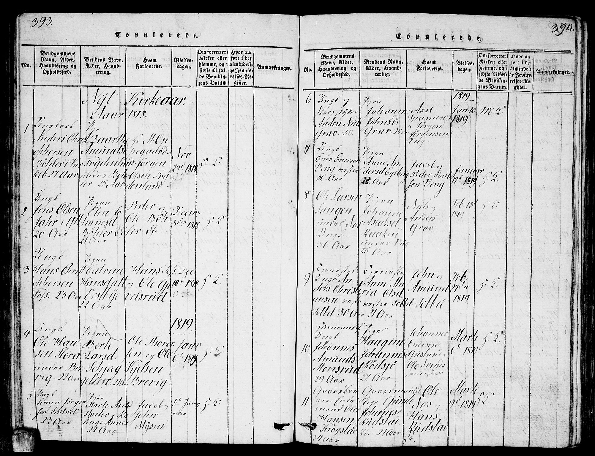Enebakk prestekontor Kirkebøker, AV/SAO-A-10171c/G/Ga/L0001: Klokkerbok nr. I 1, 1815-1833, s. 393-394