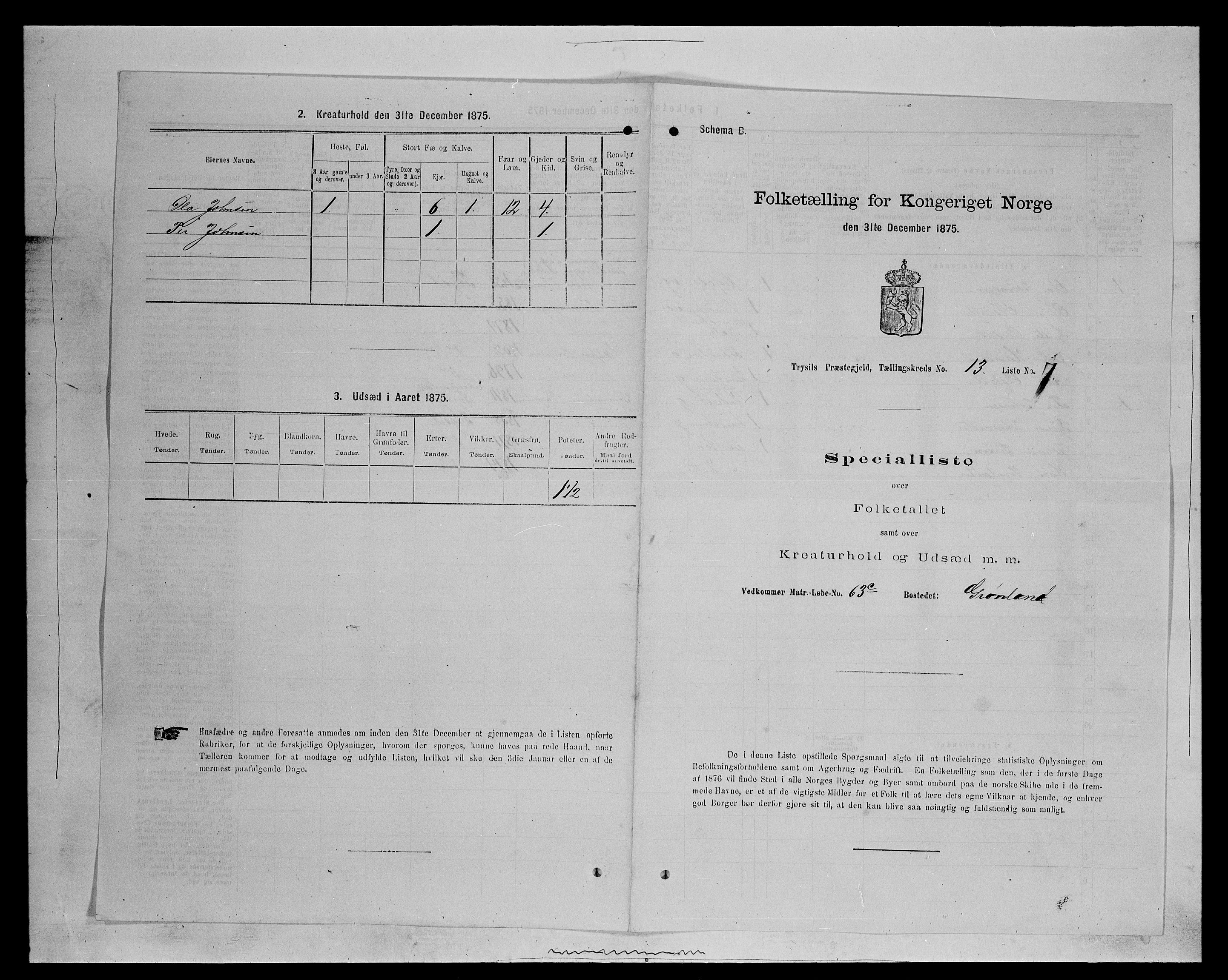 SAH, Folketelling 1875 for 0428P Trysil prestegjeld, 1875, s. 1370