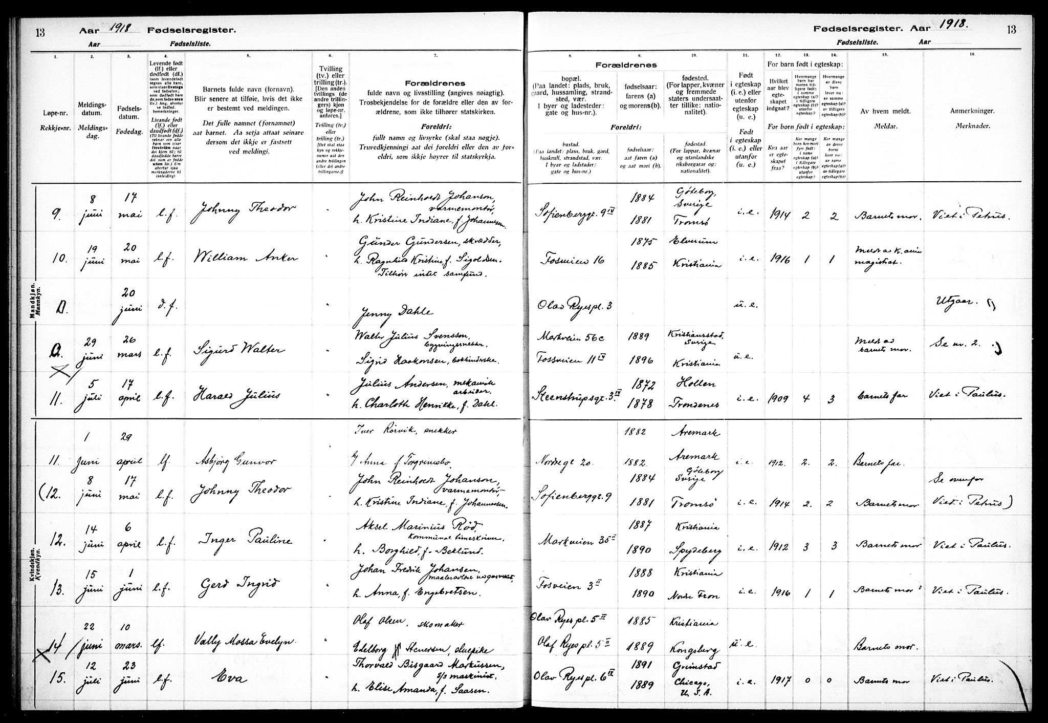 Hauge prestekontor Kirkebøker, AV/SAO-A-10849/J/Ja/L0001: Fødselsregister nr. 1, 1917-1938, s. 13