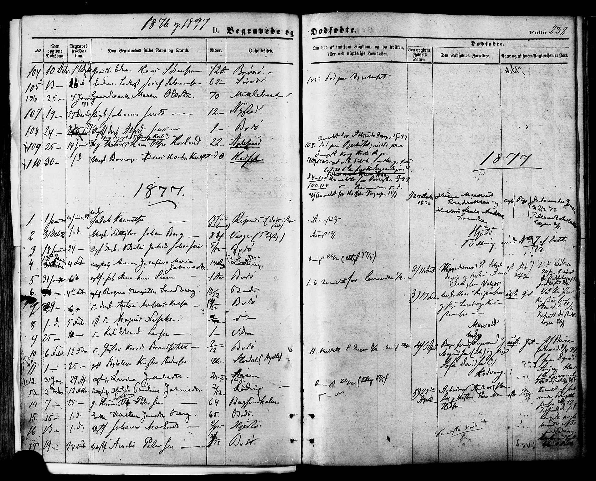 Ministerialprotokoller, klokkerbøker og fødselsregistre - Nordland, AV/SAT-A-1459/801/L0009: Ministerialbok nr. 801A09, 1876-1883, s. 238