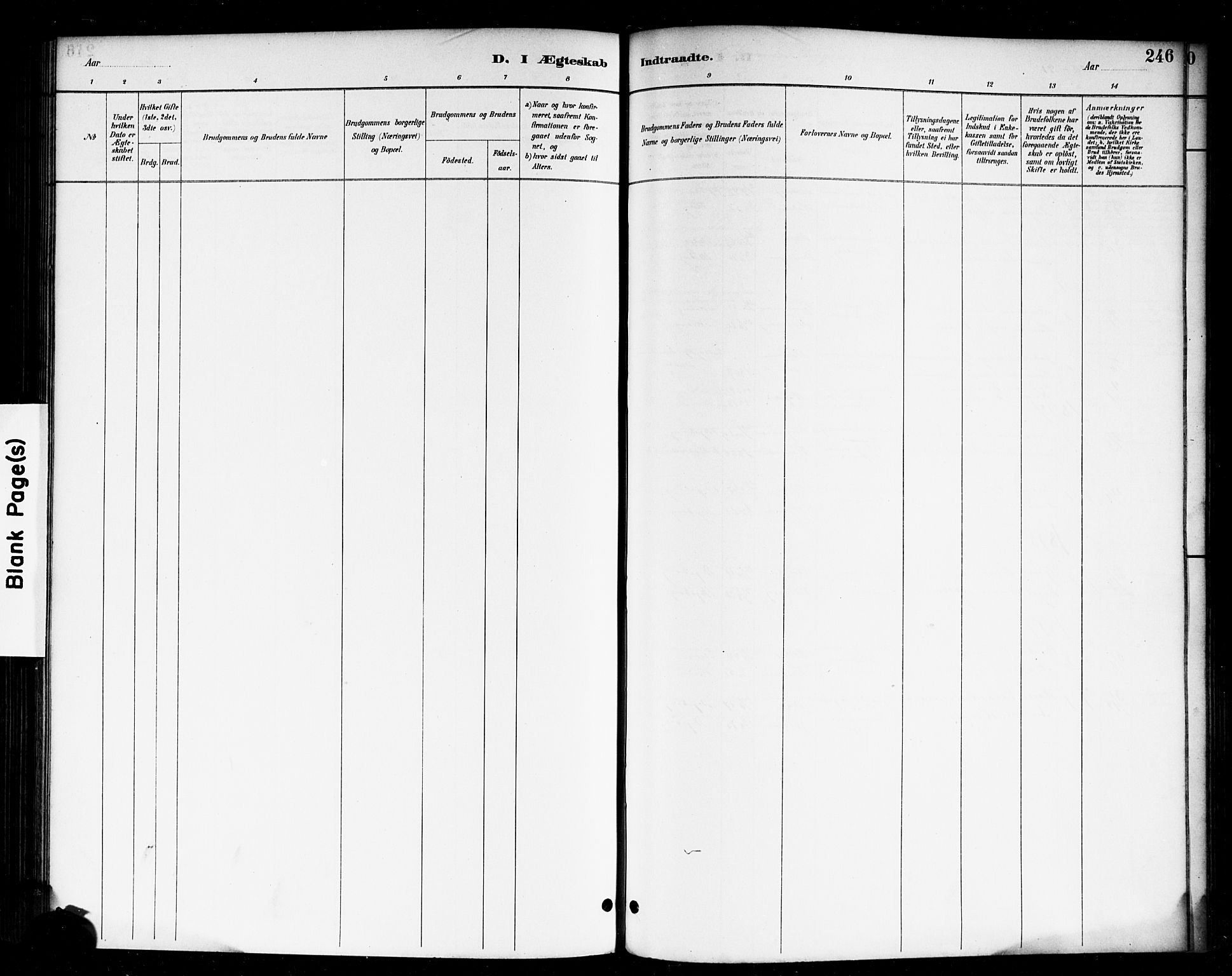 Skjeberg prestekontor Kirkebøker, AV/SAO-A-10923/F/Fa/L0009: Ministerialbok nr. I 9, 1886-1897, s. 246