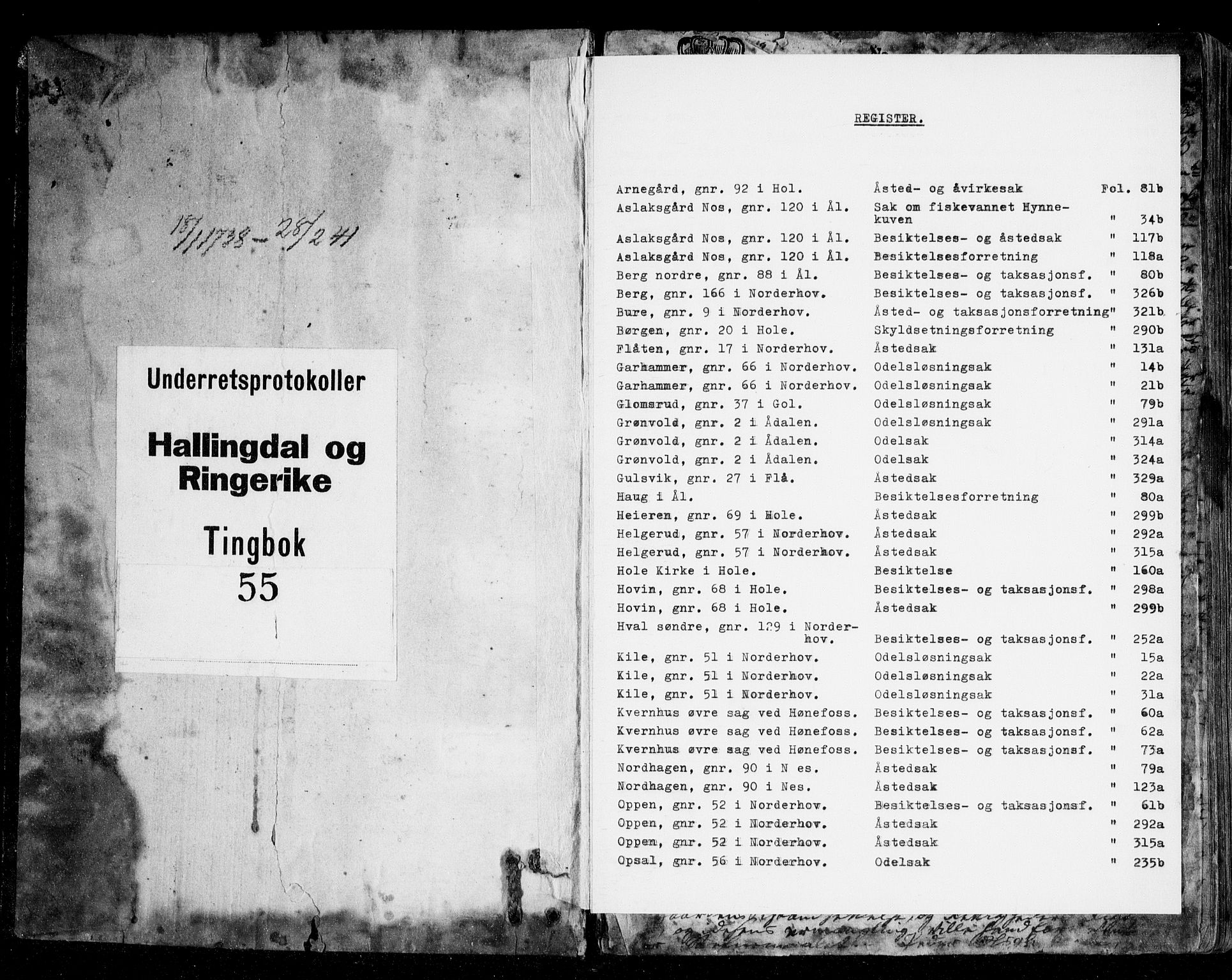 Ringerike og Hallingdal sorenskriveri, AV/SAKO-A-81/F/Fa/Faa/L0037: Tingbok, 1738-1741
