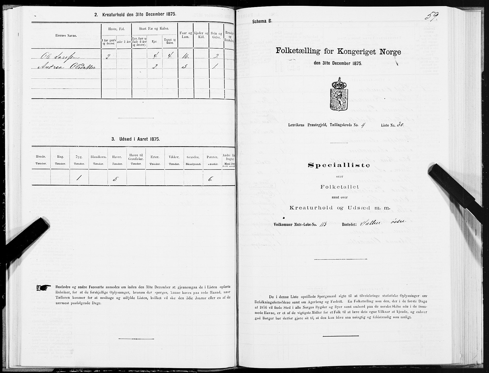 SAT, Folketelling 1875 for 1718P Leksvik prestegjeld, 1875, s. 3059