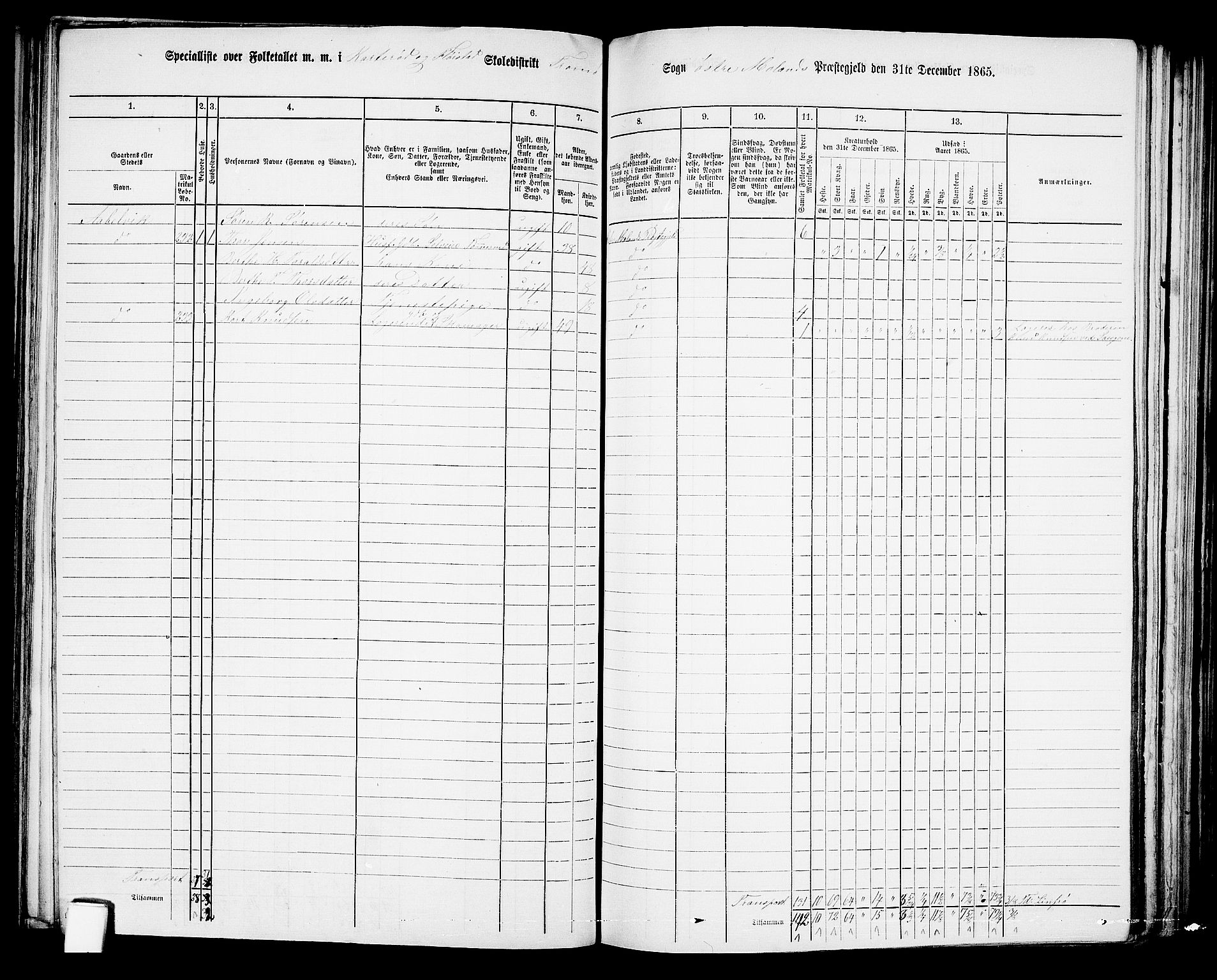 RA, Folketelling 1865 for 0918P Austre Moland prestegjeld, 1865, s. 149