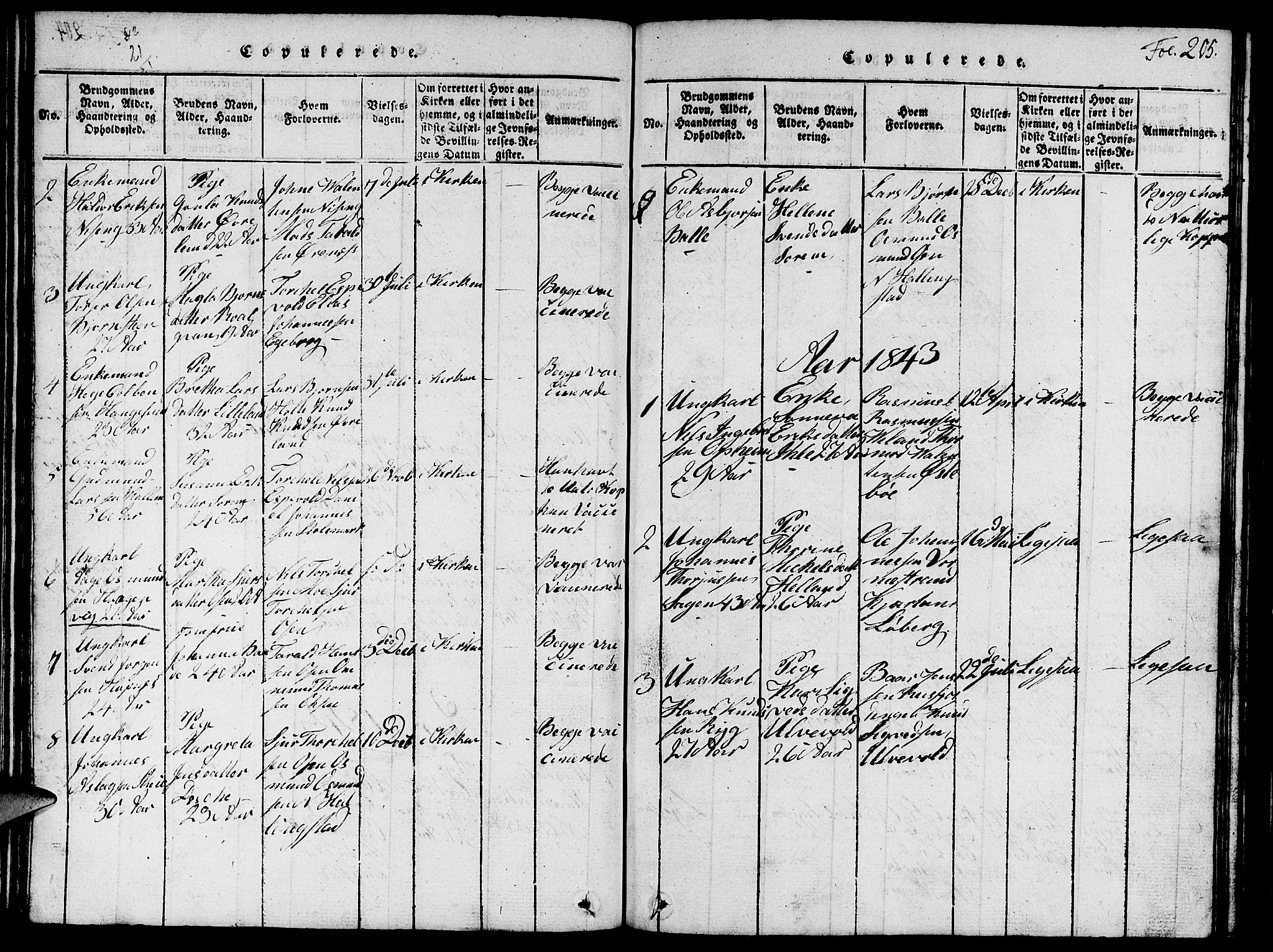 Vikedal sokneprestkontor, AV/SAST-A-101840/01/V: Klokkerbok nr. B 1, 1816-1853, s. 205