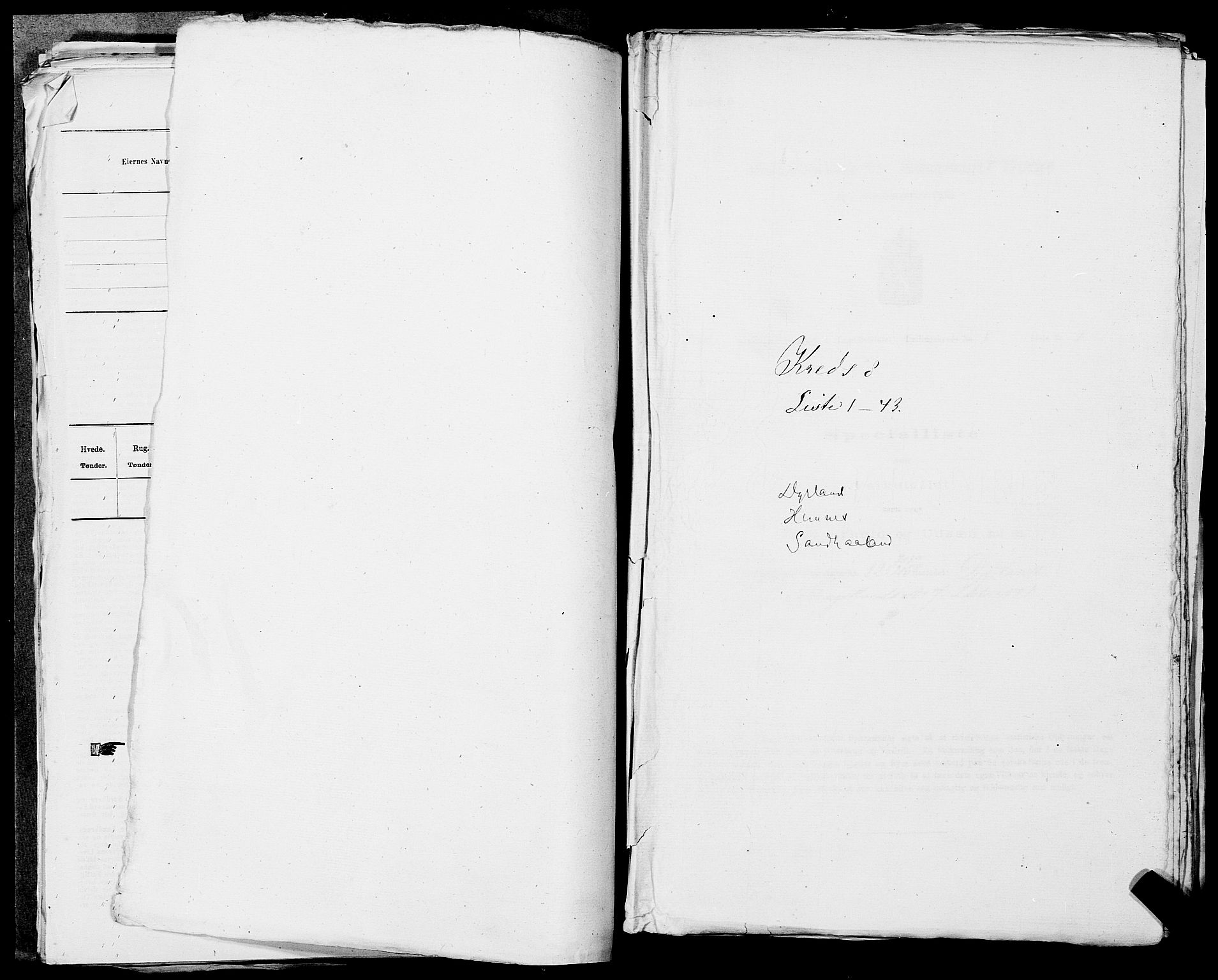 SAST, Folketelling 1875 for 1150L Skudenes prestegjeld, Falnes sokn, Åkra sokn og Ferkingstad sokn, 1875, s. 1050