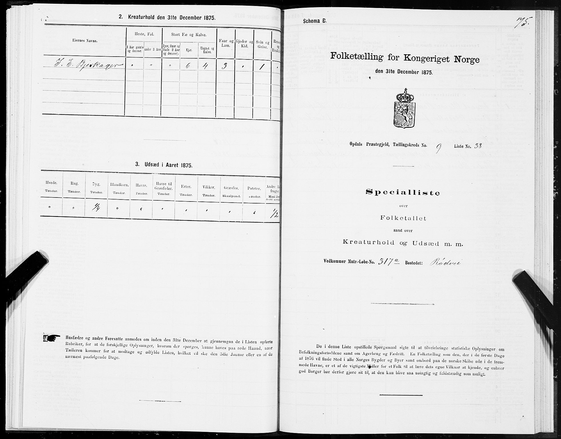 SAT, Folketelling 1875 for 1634P Oppdal prestegjeld, 1875, s. 6075