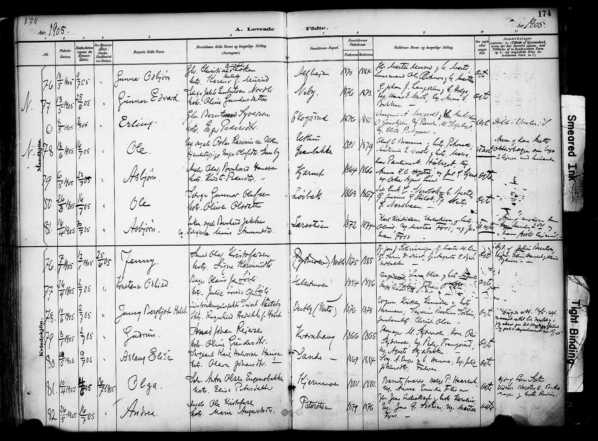 Elverum prestekontor, AV/SAH-PREST-044/H/Ha/Haa/L0014: Ministerialbok nr. 14, 1891-1909, s. 174