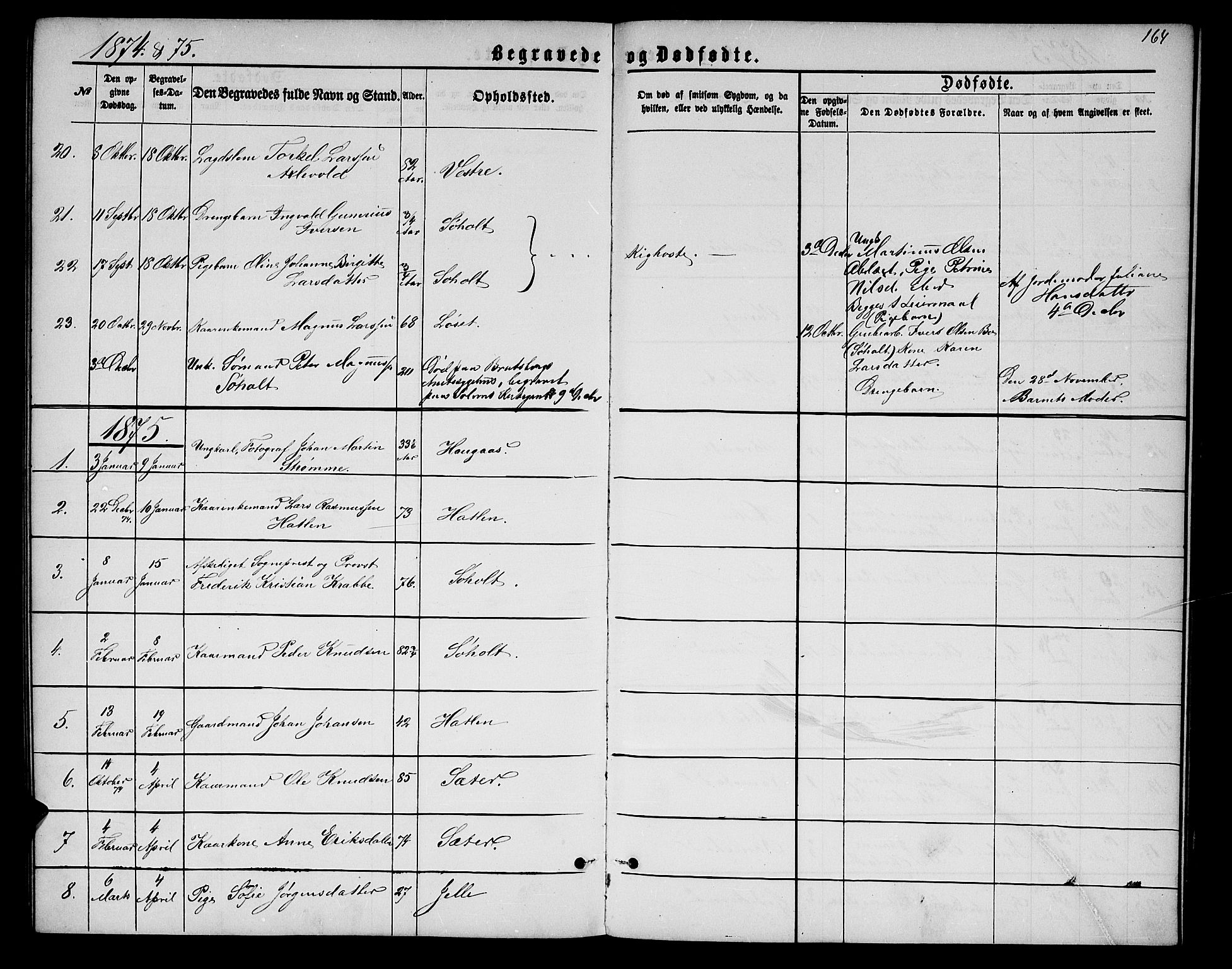 Ministerialprotokoller, klokkerbøker og fødselsregistre - Møre og Romsdal, AV/SAT-A-1454/522/L0325: Klokkerbok nr. 522C04, 1872-1877, s. 164