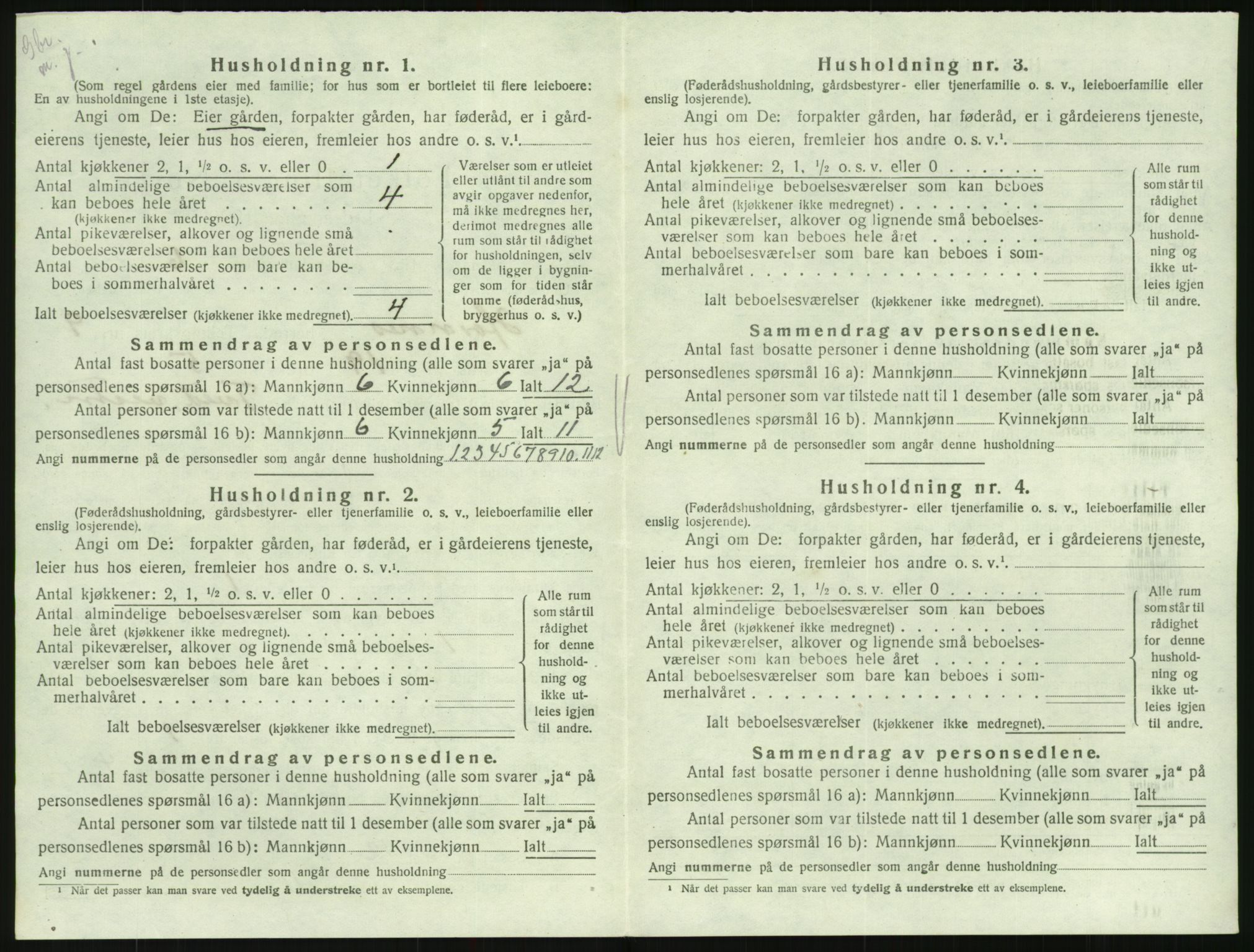 SAK, Folketelling 1920 for 0936 Hornnes herred, 1920, s. 362