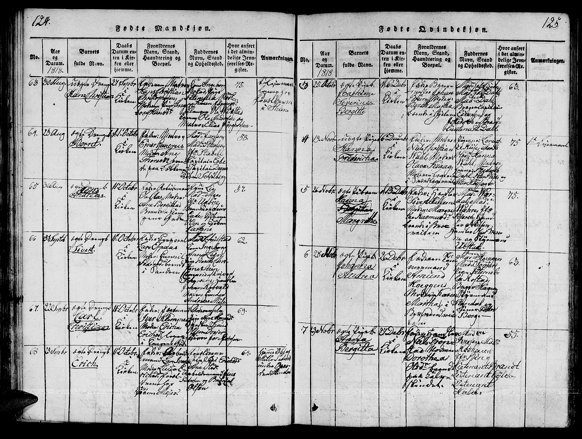 Ministerialprotokoller, klokkerbøker og fødselsregistre - Sør-Trøndelag, SAT/A-1456/601/L0043: Ministerialbok nr. 601A11, 1815-1821, s. 124-125