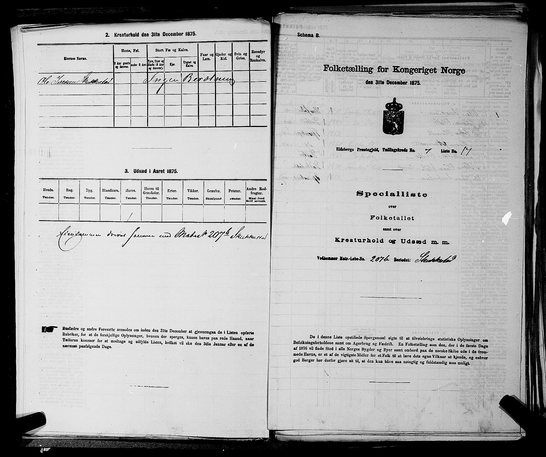 RA, Folketelling 1875 for 0125P Eidsberg prestegjeld, 1875, s. 1389
