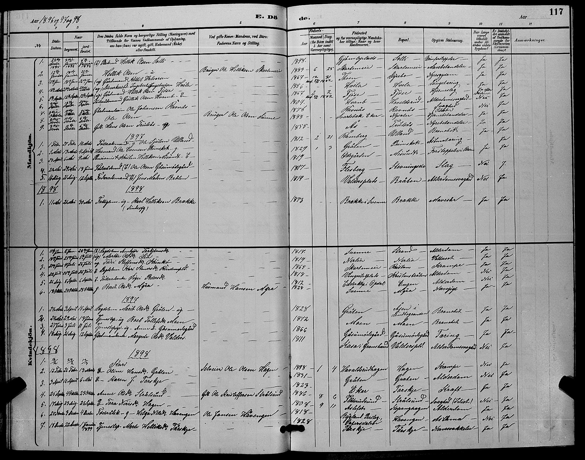 Flesberg kirkebøker, AV/SAKO-A-18/G/Ga/L0004: Klokkerbok nr. I 4 /2, 1890-1898, s. 117