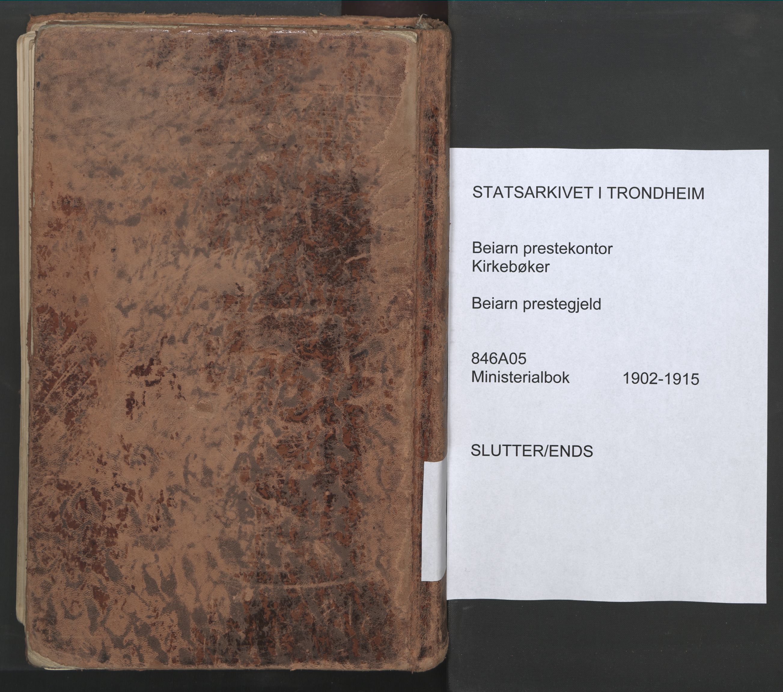 Ministerialprotokoller, klokkerbøker og fødselsregistre - Nordland, SAT/A-1459/846/L0647: Ministerialbok nr. 846A05, 1902-1915, s. 311