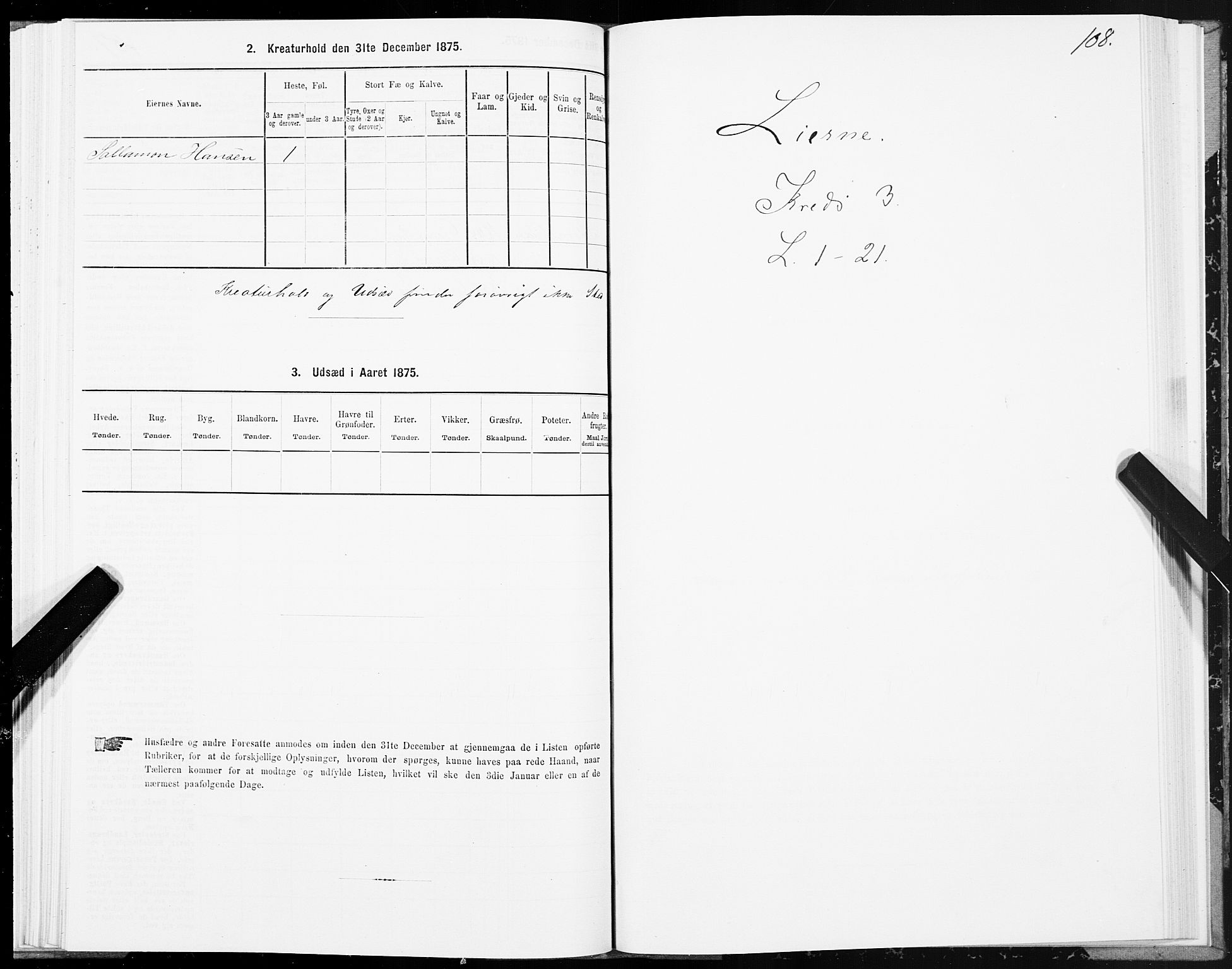 SAT, Folketelling 1875 for 1737P Lierne prestegjeld, 1875, s. 1108