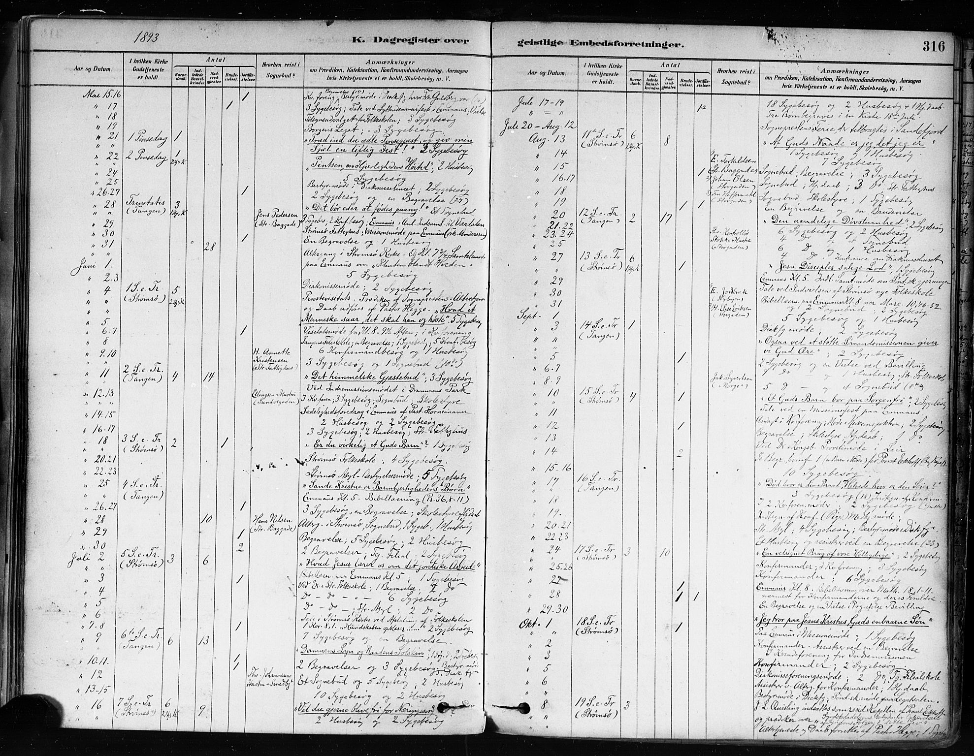 Strømsø kirkebøker, AV/SAKO-A-246/F/Fa/L0022: Ministerialbok nr. I 22, 1879-1899, s. 316