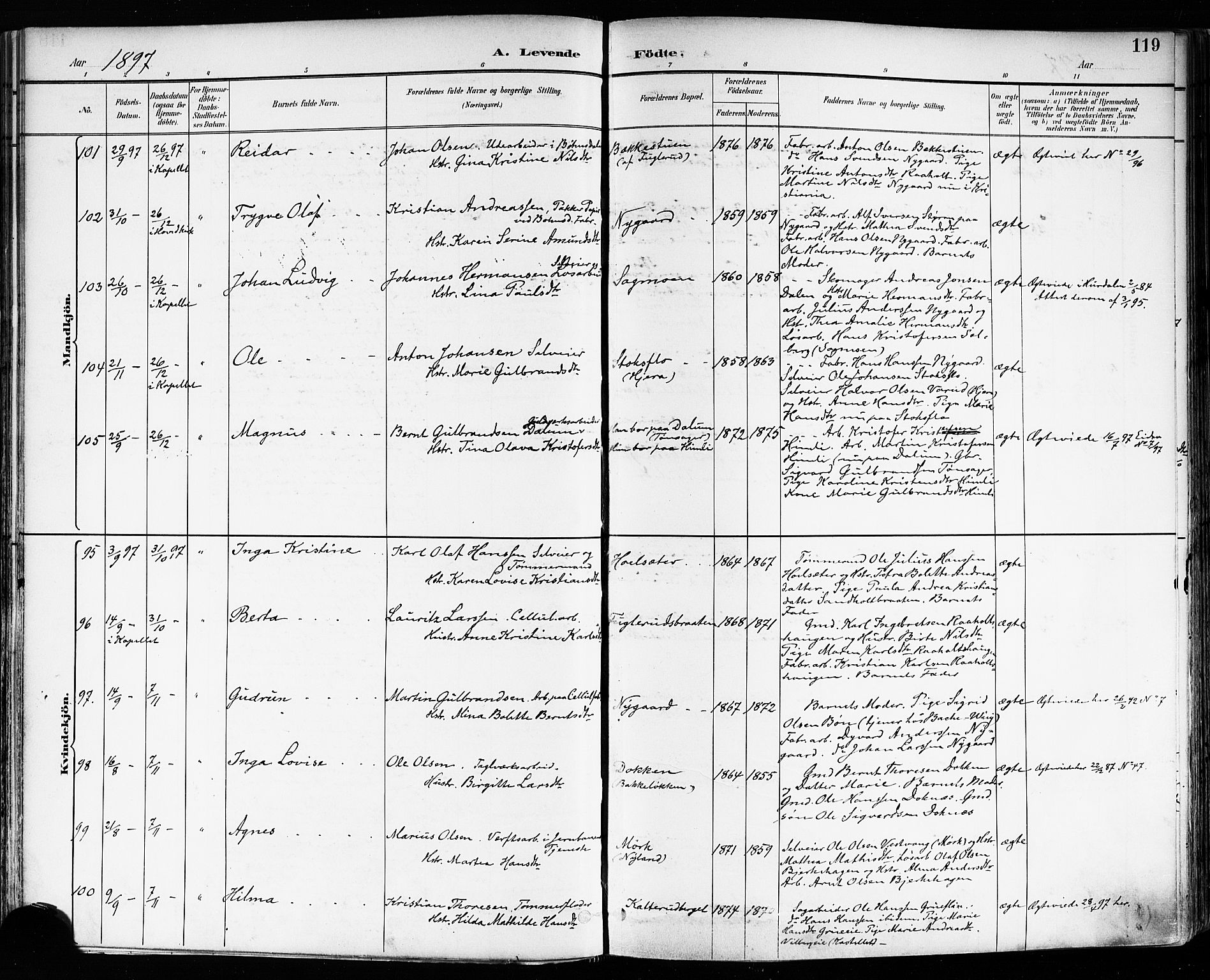 Eidsvoll prestekontor Kirkebøker, AV/SAO-A-10888/F/Fa/L0004: Ministerialbok nr. I 4, 1891-1900, s. 119