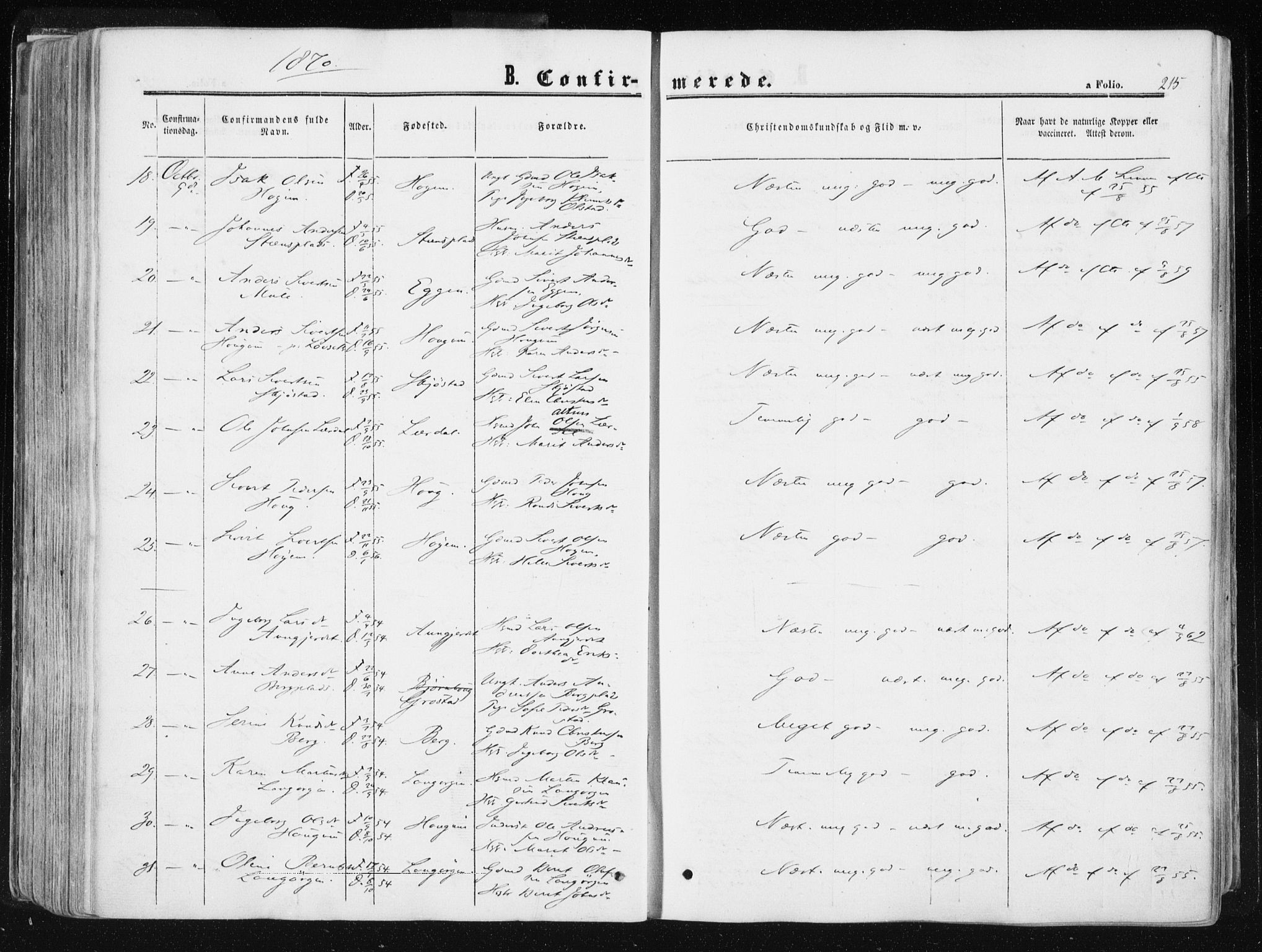 Ministerialprotokoller, klokkerbøker og fødselsregistre - Sør-Trøndelag, SAT/A-1456/612/L0377: Ministerialbok nr. 612A09, 1859-1877, s. 215