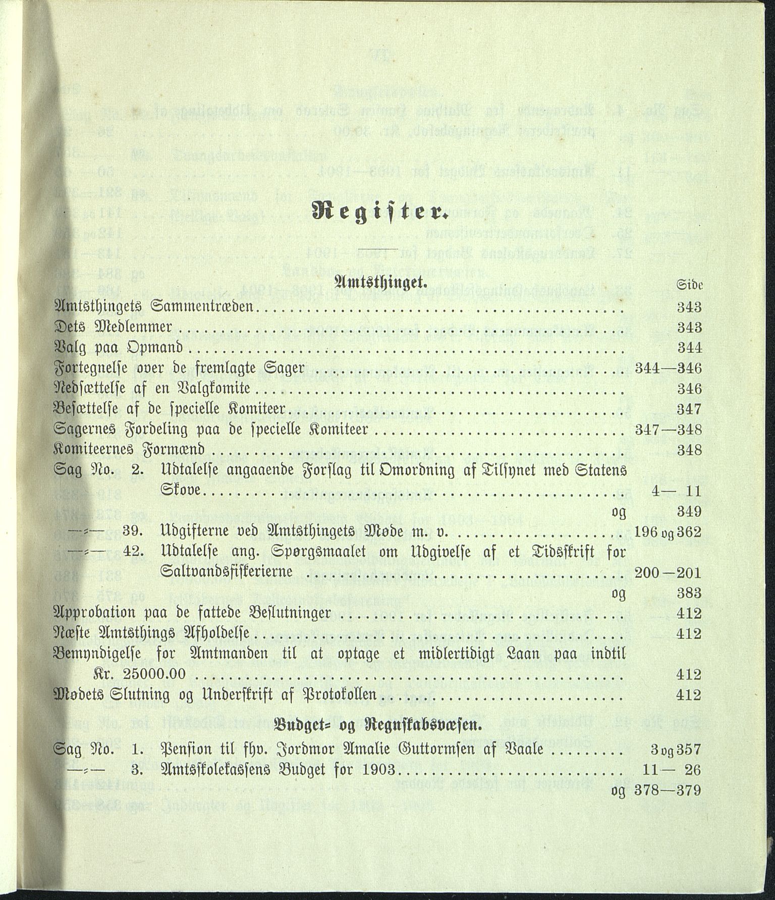 Vestfold fylkeskommune. Fylkestinget, VEMU/A-1315/A/Ab/Abb/L0050: Fylkestingsforhandlinger, 1903
