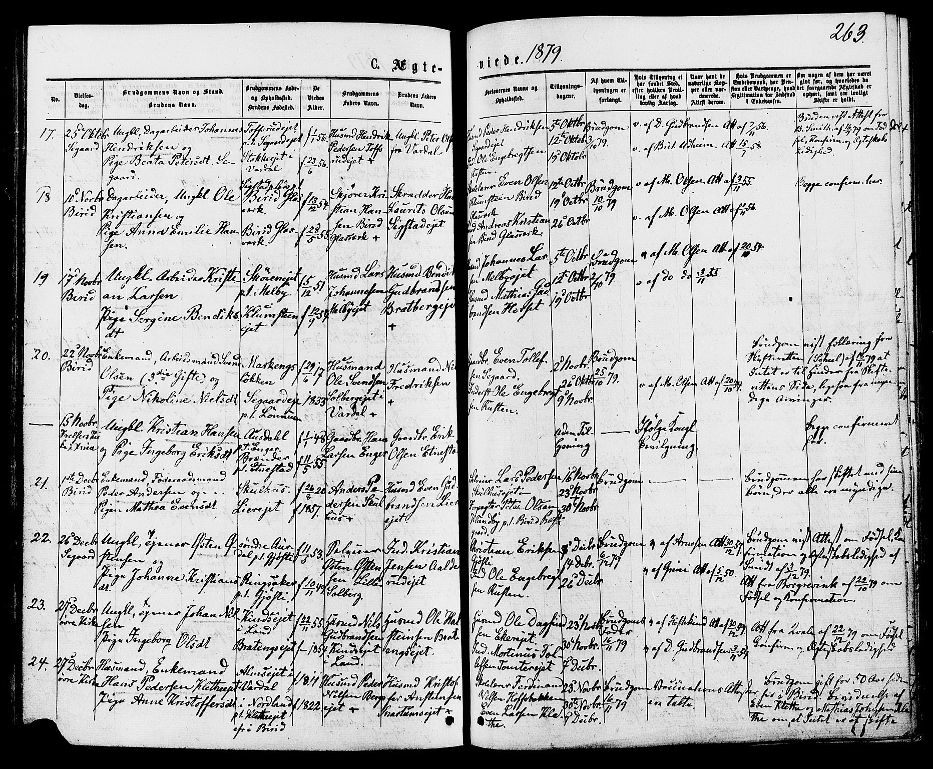 Biri prestekontor, AV/SAH-PREST-096/H/Ha/Haa/L0006: Ministerialbok nr. 6, 1877-1886, s. 263