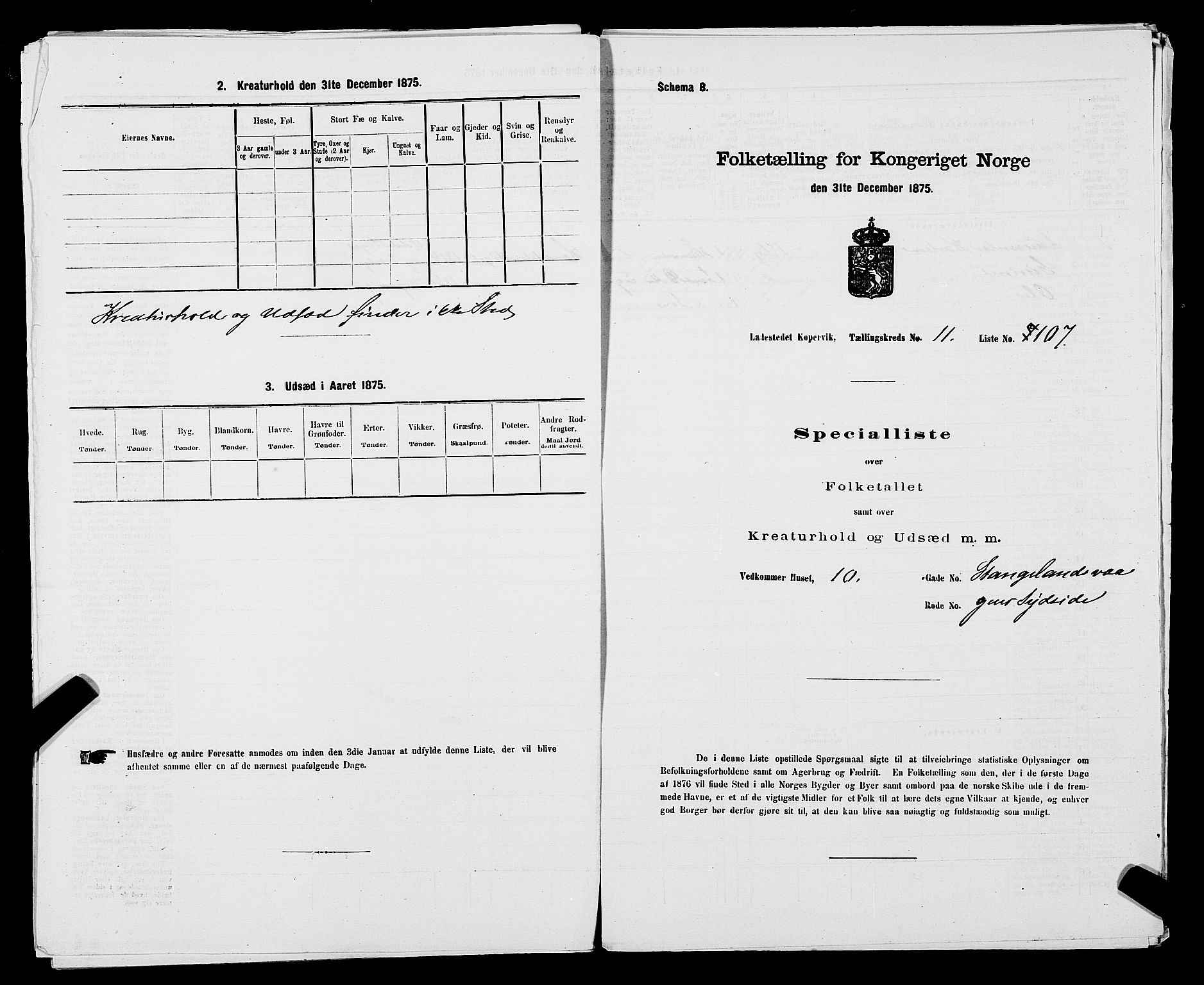 SAST, Folketelling 1875 for 1105B Avaldsnes prestegjeld, Kopervik ladested, 1875, s. 213