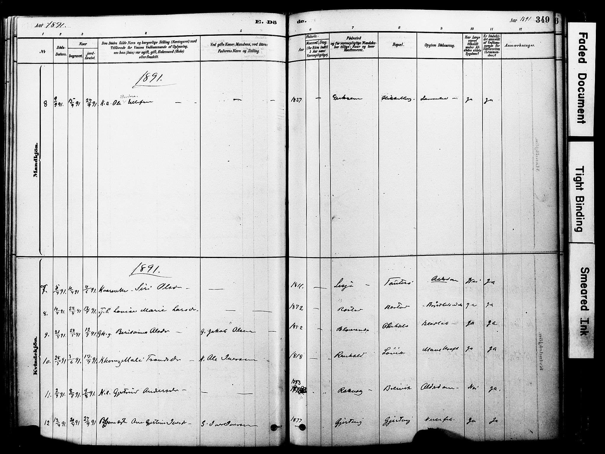 Ministerialprotokoller, klokkerbøker og fødselsregistre - Møre og Romsdal, AV/SAT-A-1454/560/L0721: Ministerialbok nr. 560A05, 1878-1917, s. 349