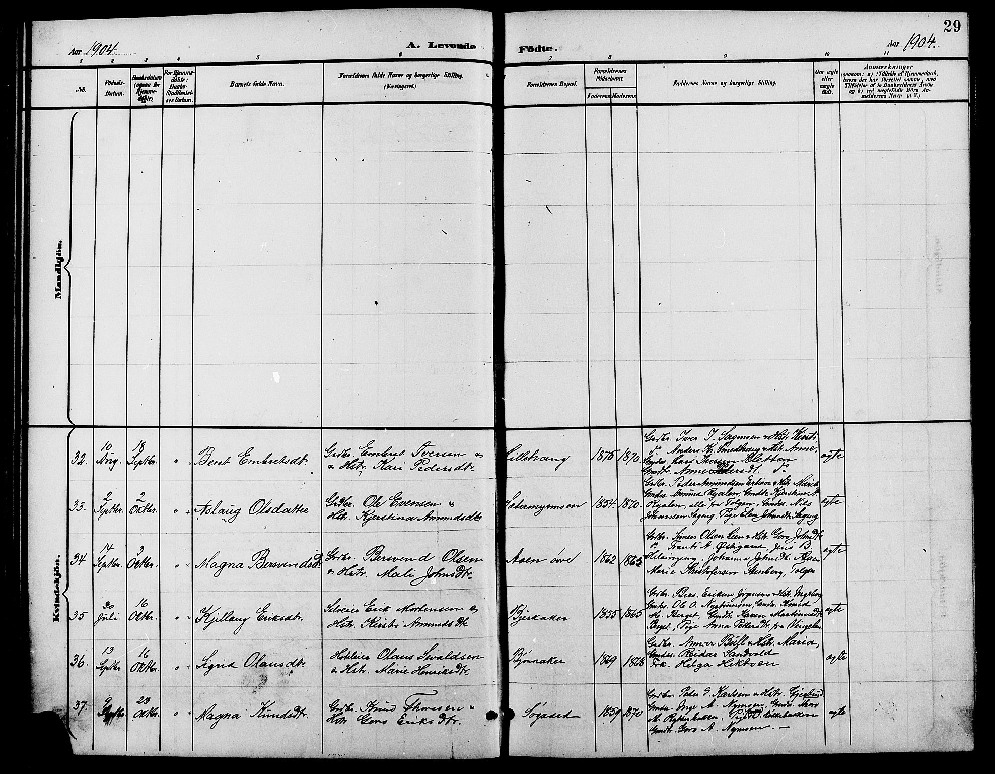 Tynset prestekontor, AV/SAH-PREST-058/H/Ha/Hab/L0009: Klokkerbok nr. 9, 1900-1914, s. 29