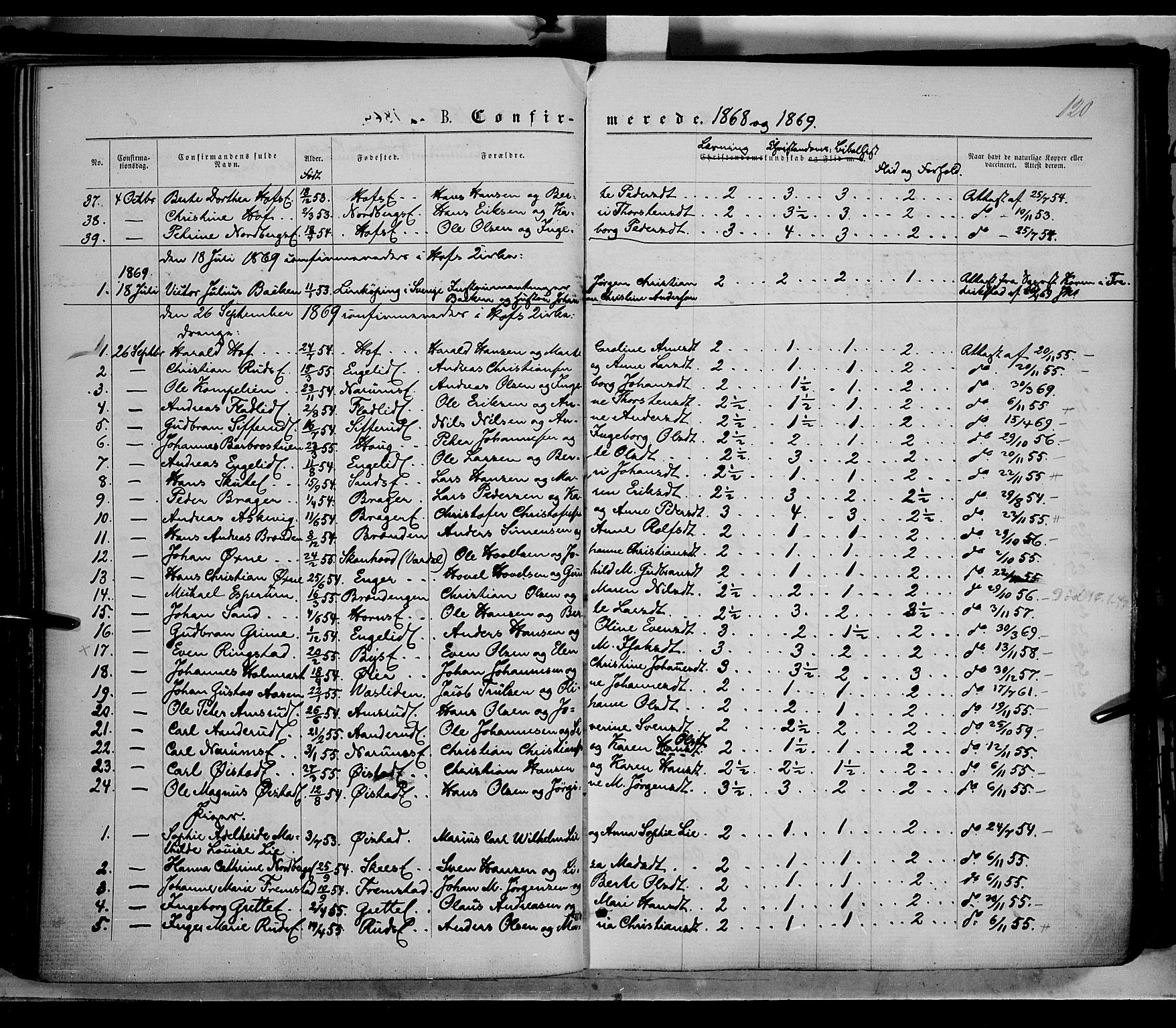 Søndre Land prestekontor, AV/SAH-PREST-122/K/L0001: Ministerialbok nr. 1, 1860-1877, s. 120