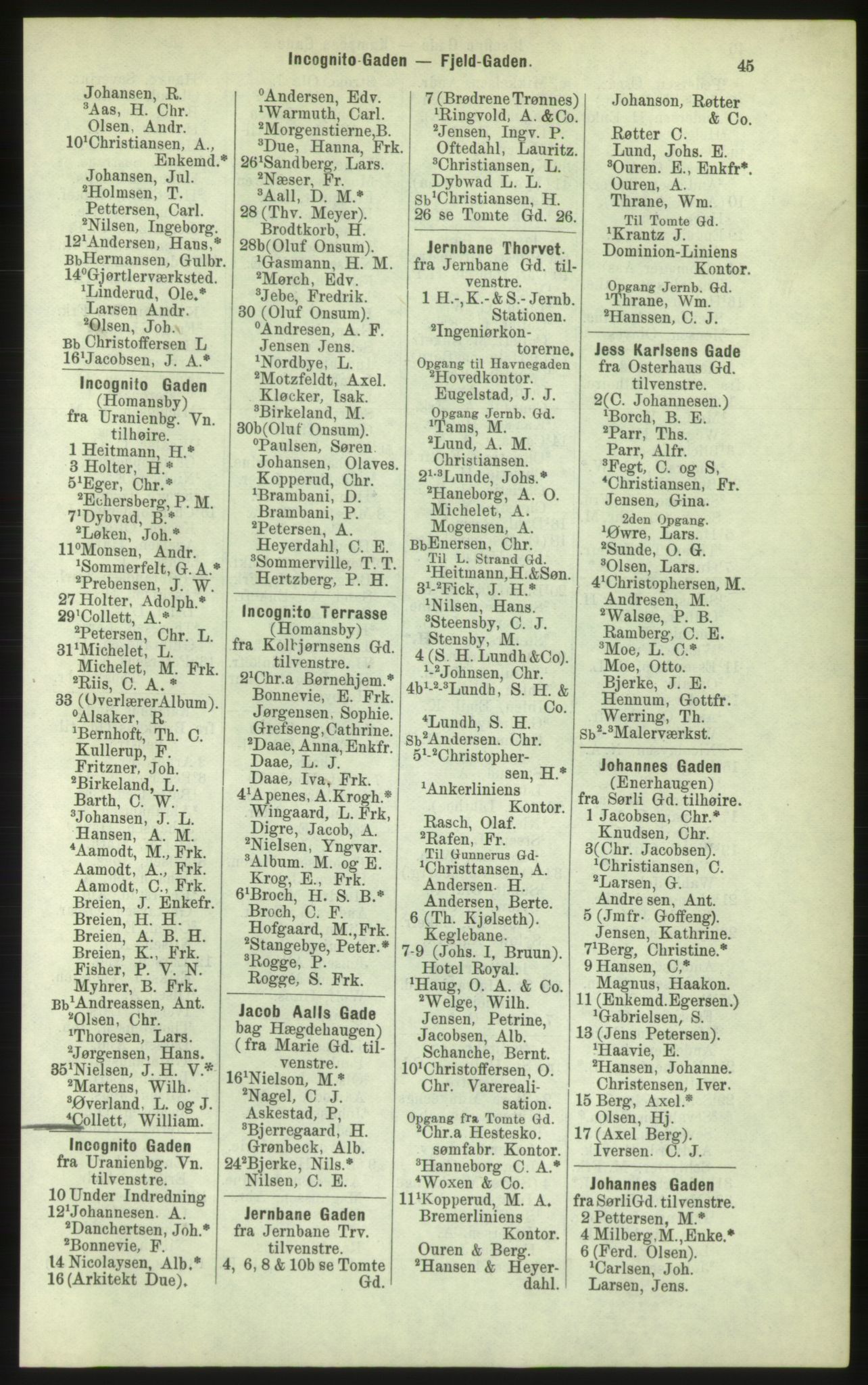 Kristiania/Oslo adressebok, PUBL/-, 1884, s. 45