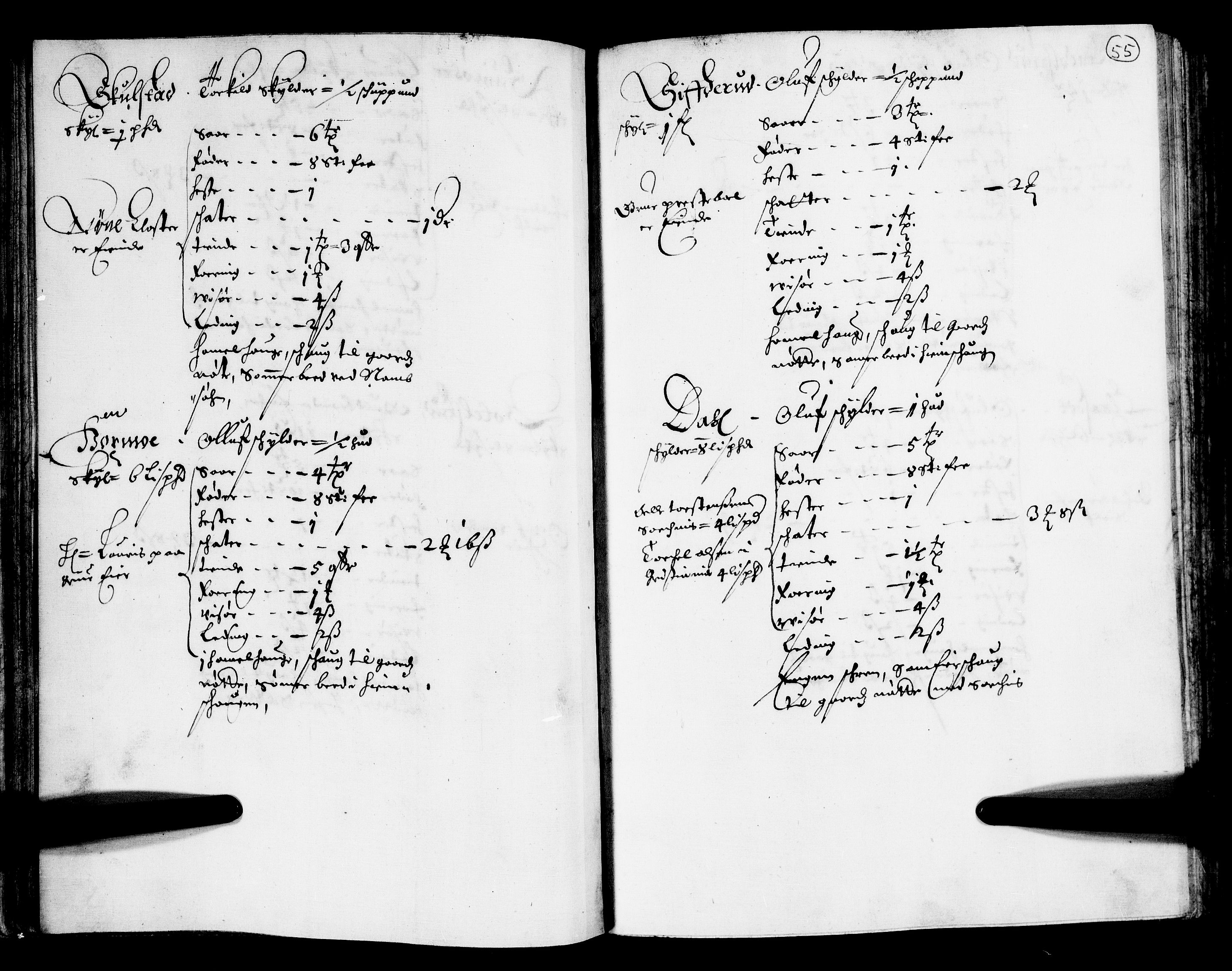 Rentekammeret inntil 1814, Realistisk ordnet avdeling, AV/RA-EA-4070/N/Nb/Nba/L0011: Odal, Solør og Østerdalen fogderi, 1667, s. 54b-55a