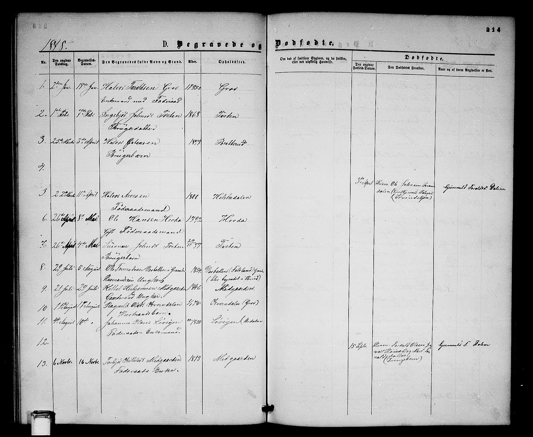 Gransherad kirkebøker, AV/SAKO-A-267/G/Gb/L0002: Klokkerbok nr. II 2, 1860-1886, s. 214