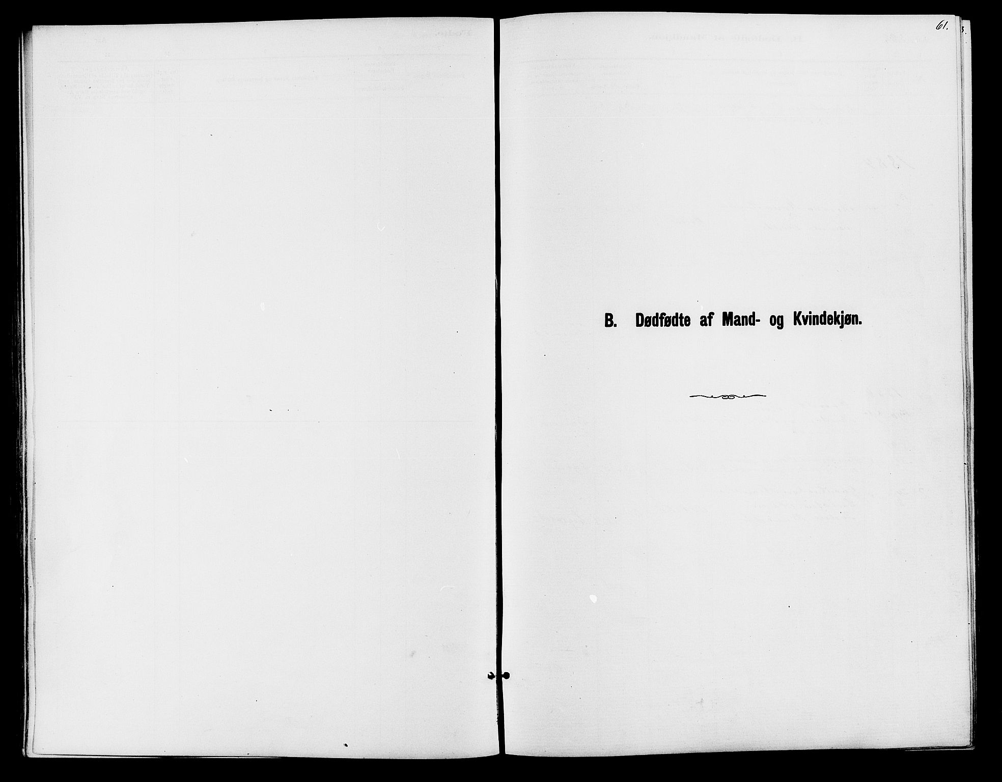 Holum sokneprestkontor, SAK/1111-0022/F/Fb/Fbc/L0003: Klokkerbok nr. B 3, 1882-1908, s. 61