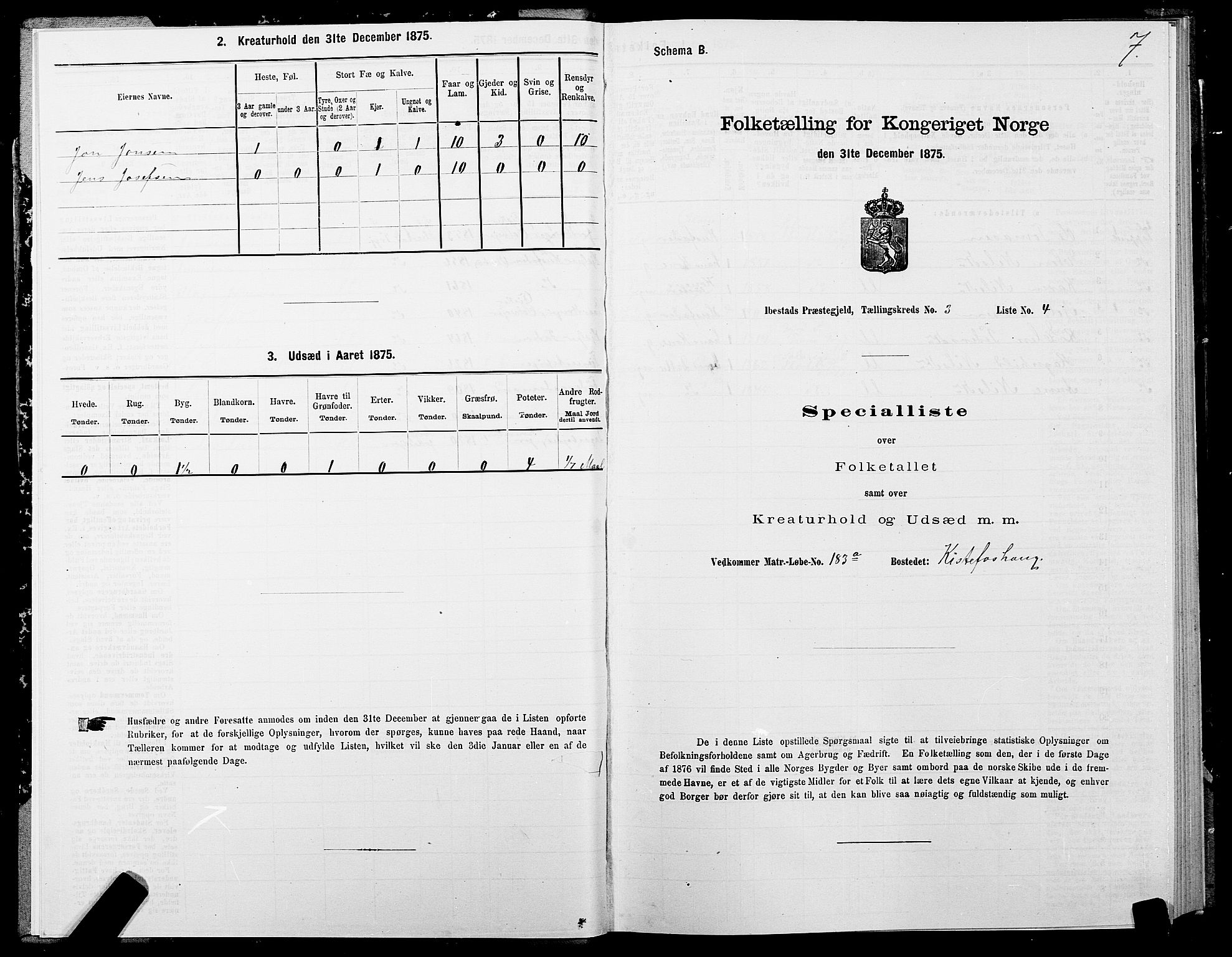 SATØ, Folketelling 1875 for 1917P Ibestad prestegjeld, 1875, s. 2007