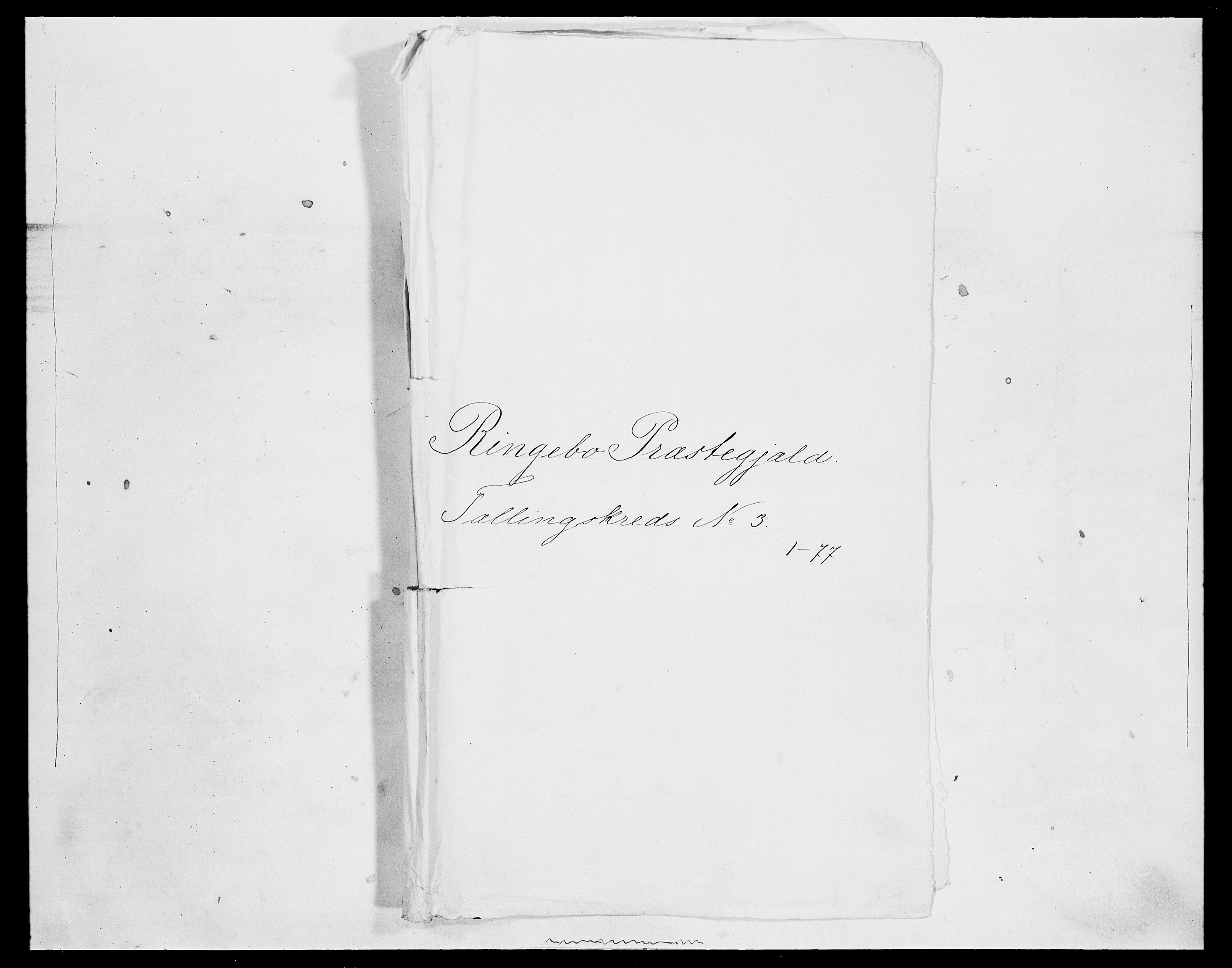 SAH, Folketelling 1875 for 0520P Ringebu prestegjeld, 1875, s. 391