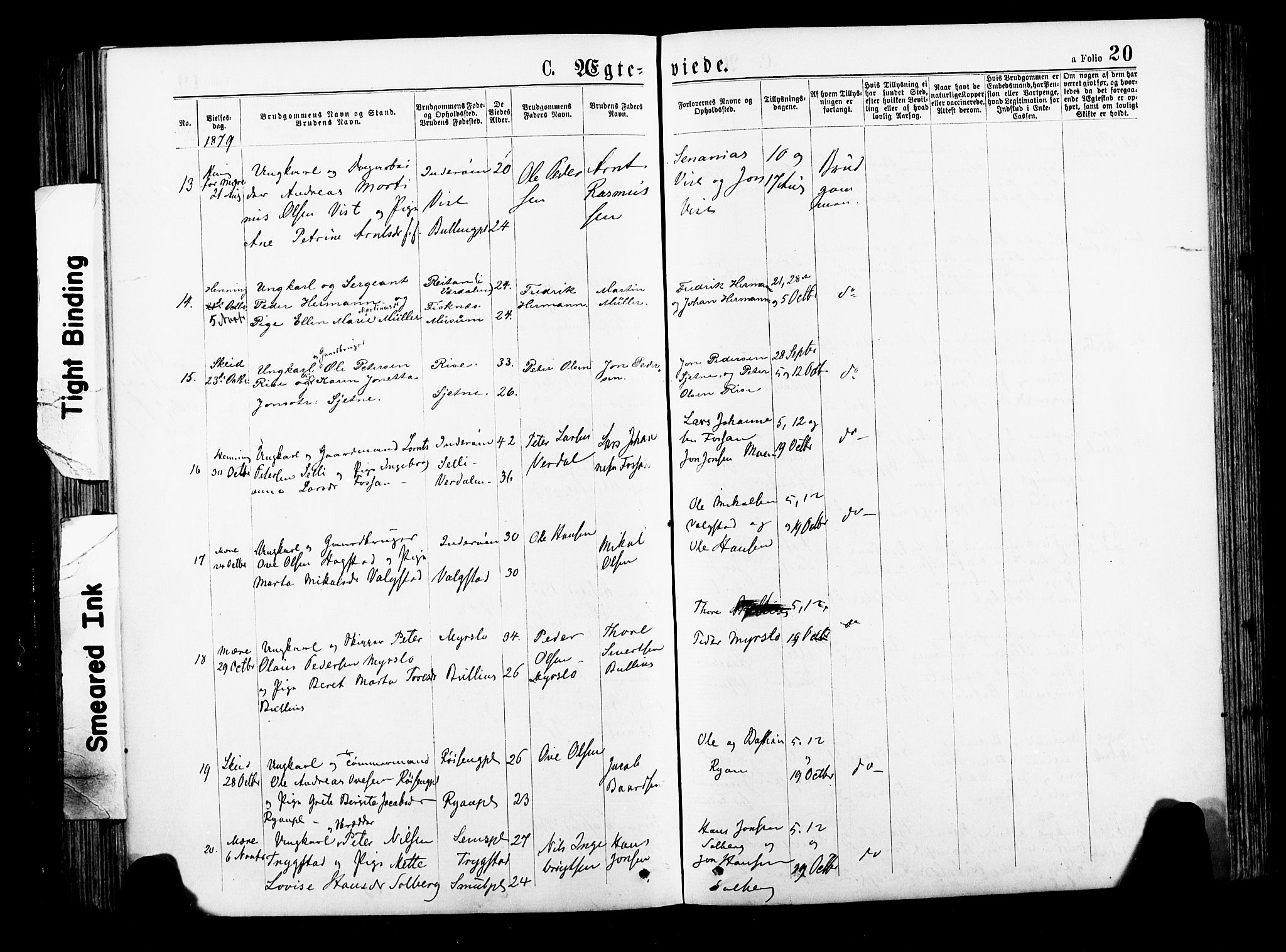 Ministerialprotokoller, klokkerbøker og fødselsregistre - Nord-Trøndelag, AV/SAT-A-1458/735/L0348: Ministerialbok nr. 735A09 /1, 1873-1883, s. 20