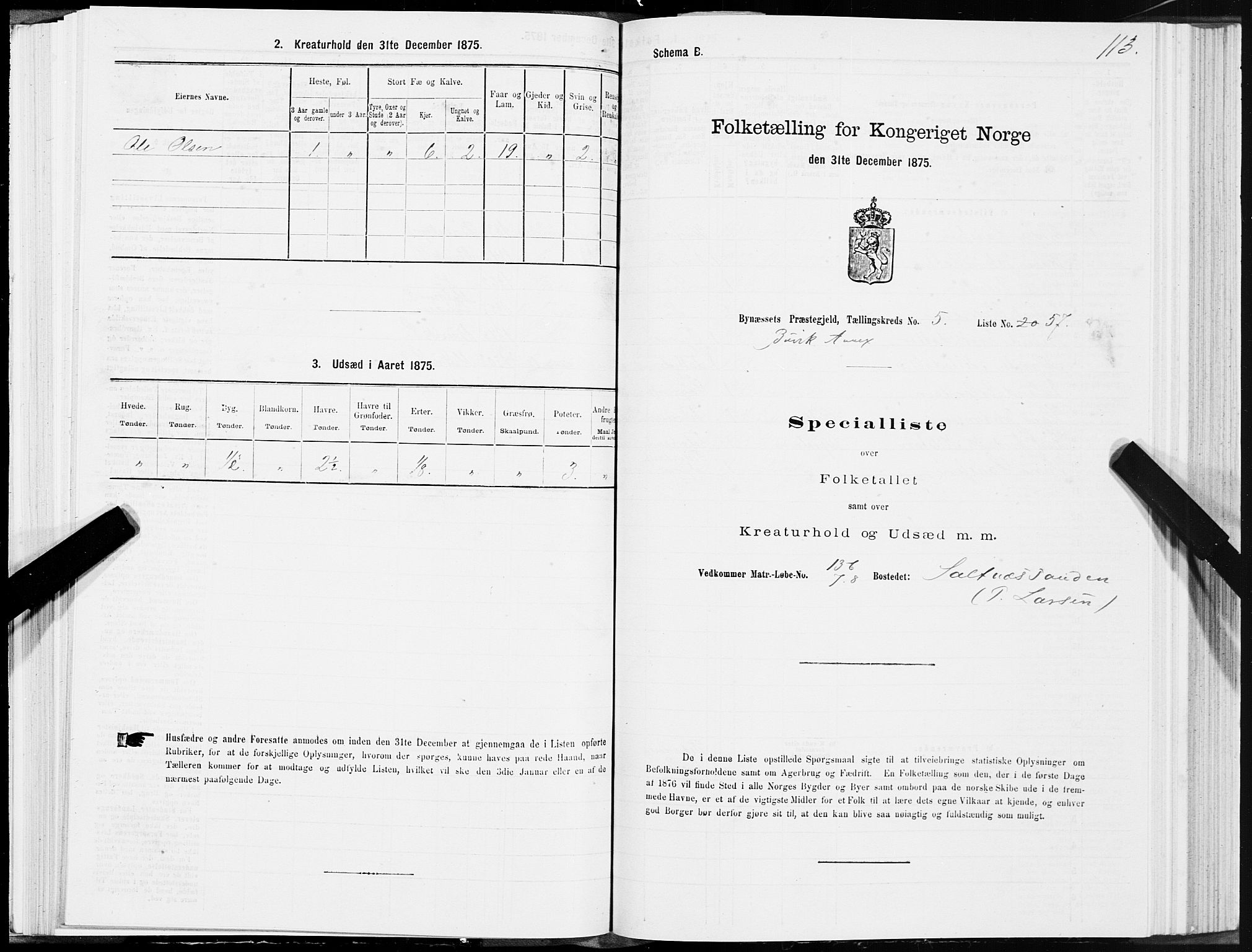 SAT, Folketelling 1875 for 1655P Byneset prestegjeld, 1875, s. 3113