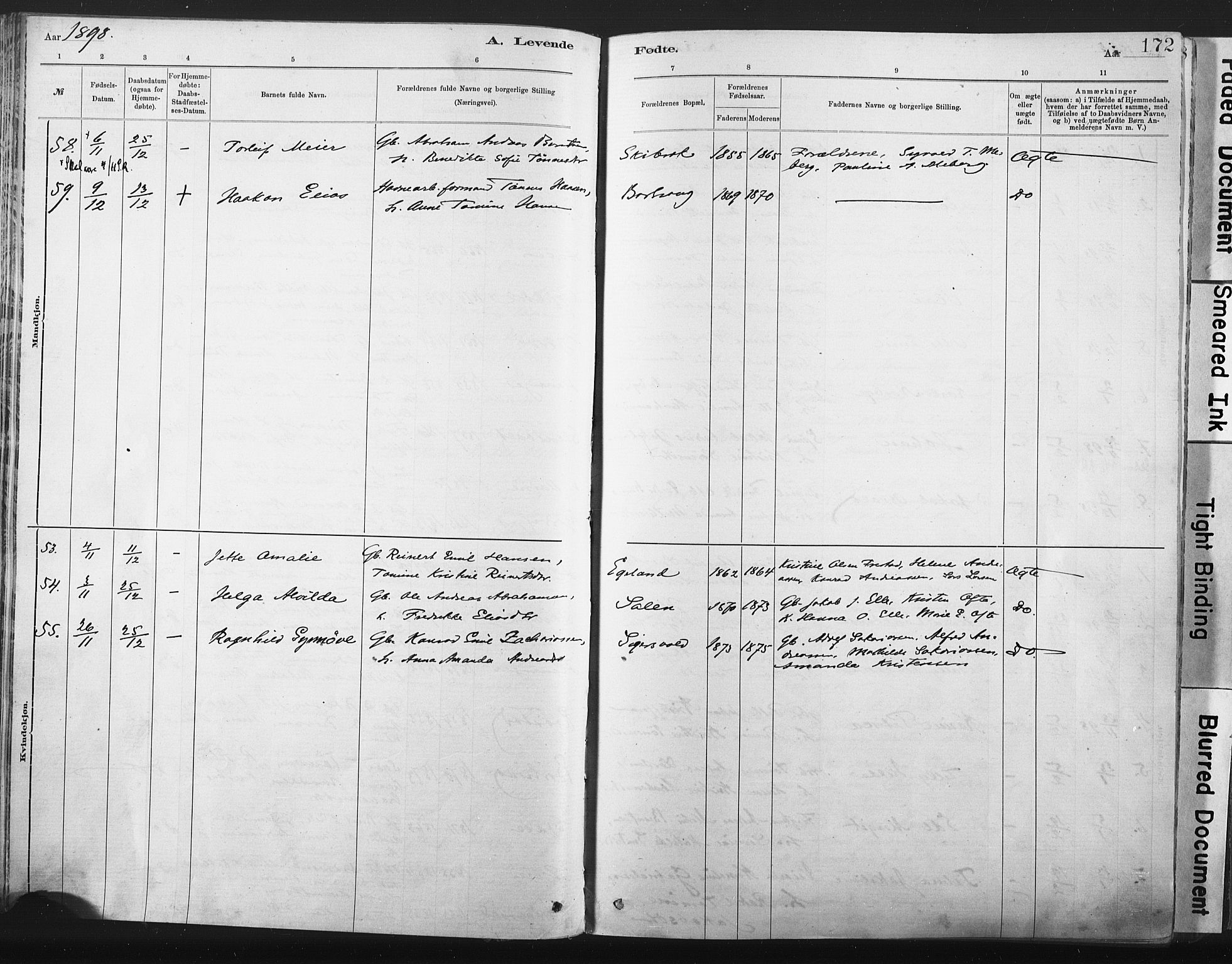 Lista sokneprestkontor, SAK/1111-0027/F/Fa/L0012: Ministerialbok nr. A 12, 1879-1903, s. 172