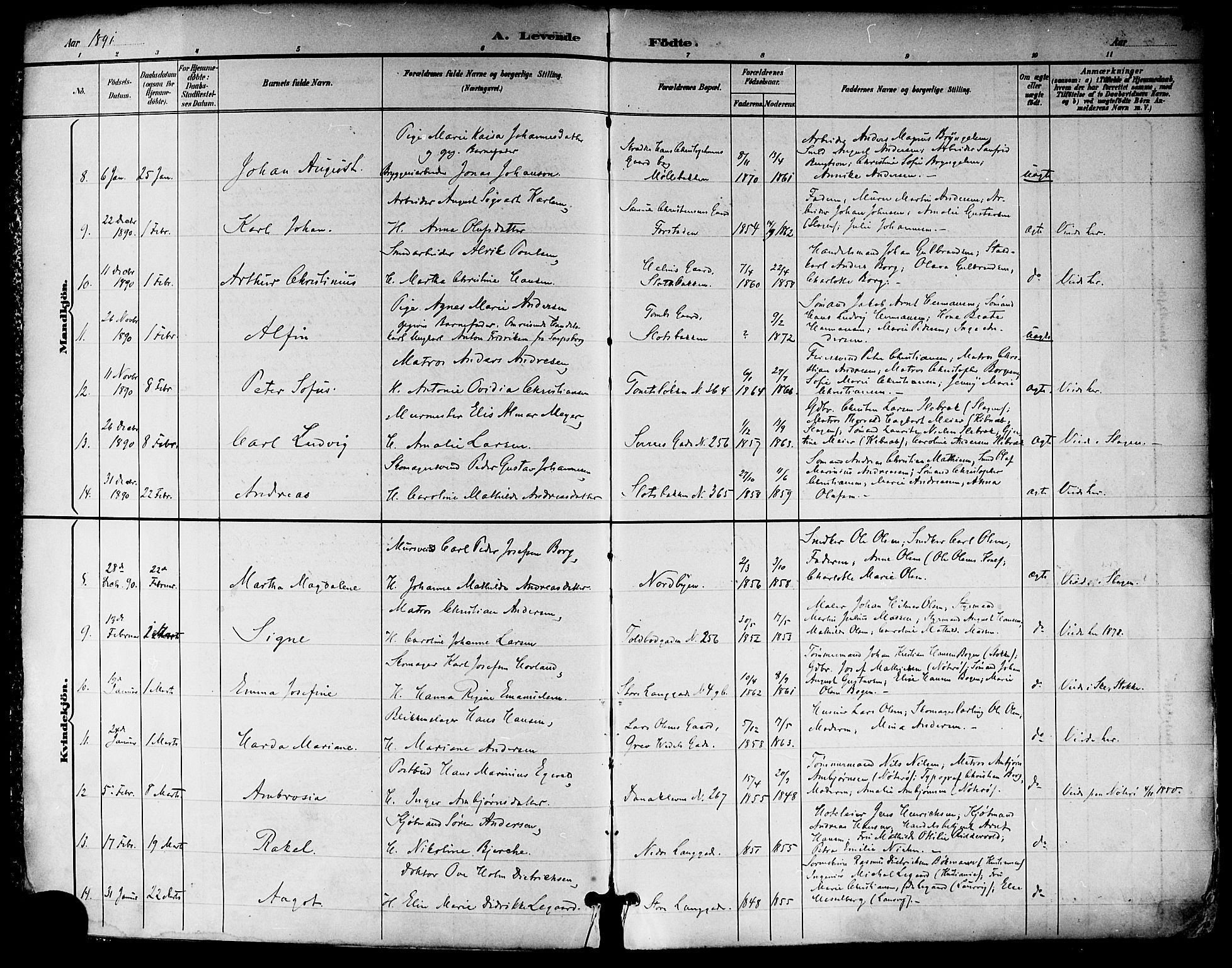 Tønsberg kirkebøker, AV/SAKO-A-330/F/Fa/L0012: Ministerialbok nr. I 12, 1891-1899, s. 2
