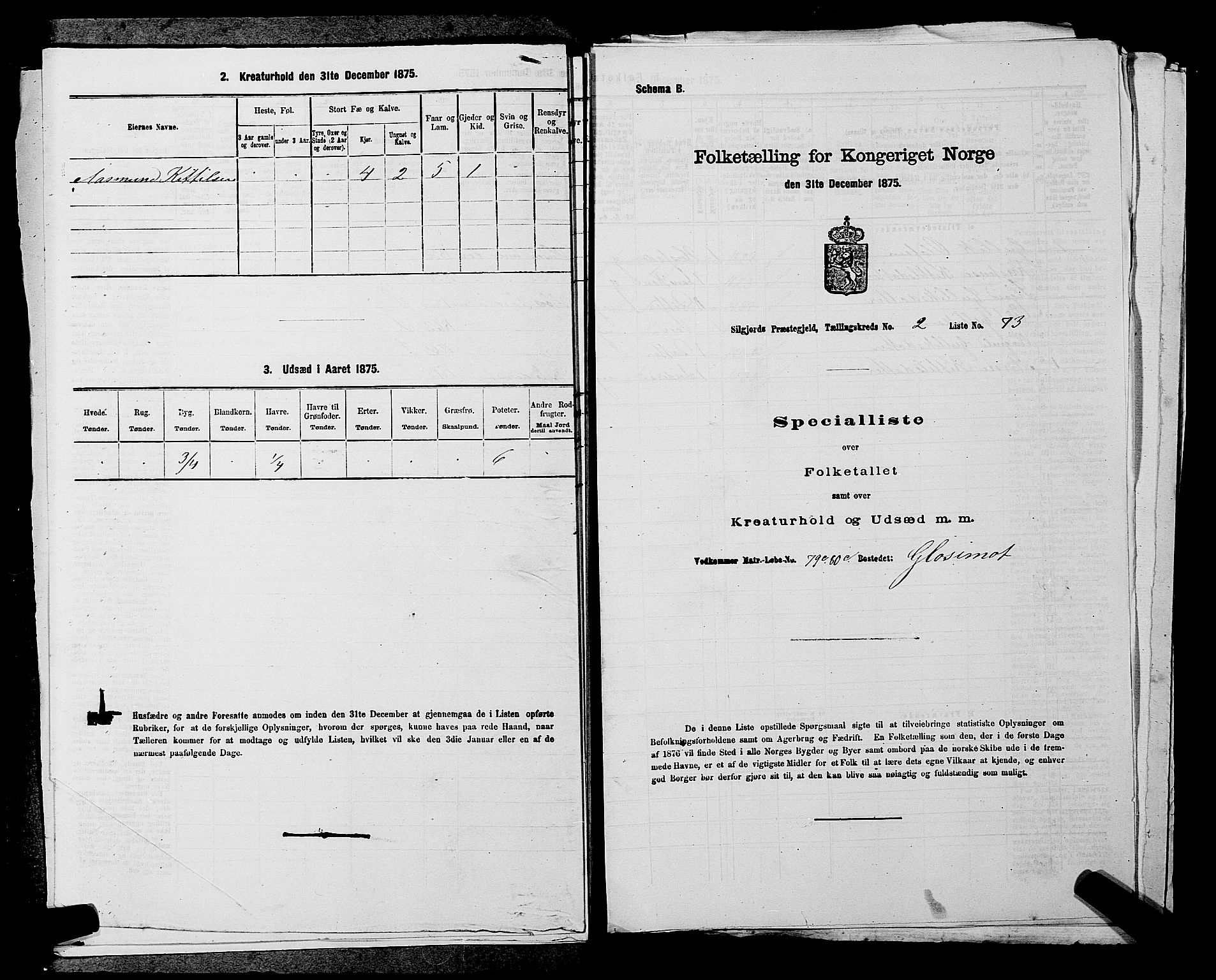 SAKO, Folketelling 1875 for 0828P Seljord prestegjeld, 1875, s. 318
