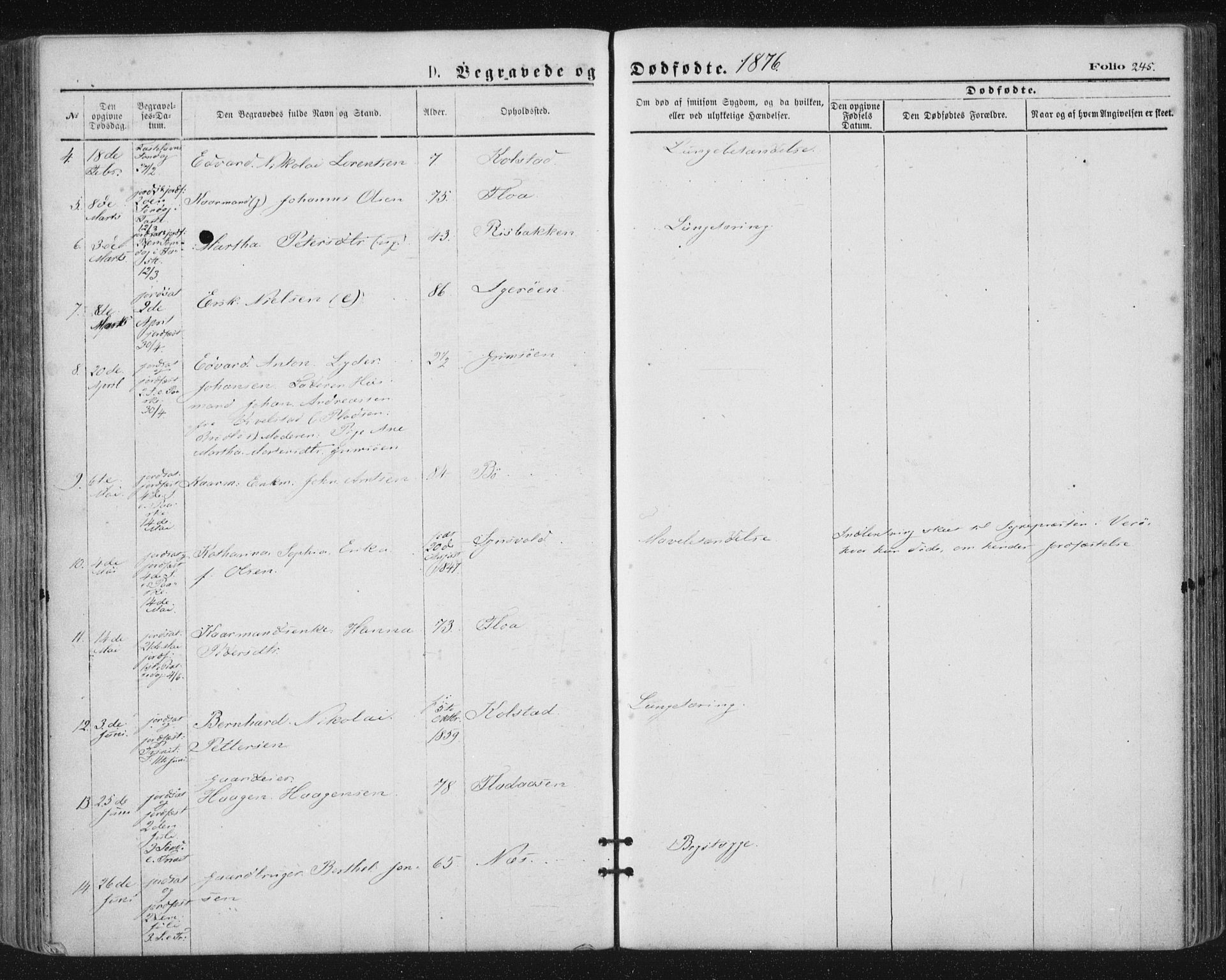 Ministerialprotokoller, klokkerbøker og fødselsregistre - Nordland, SAT/A-1459/816/L0241: Ministerialbok nr. 816A07, 1870-1885, s. 245