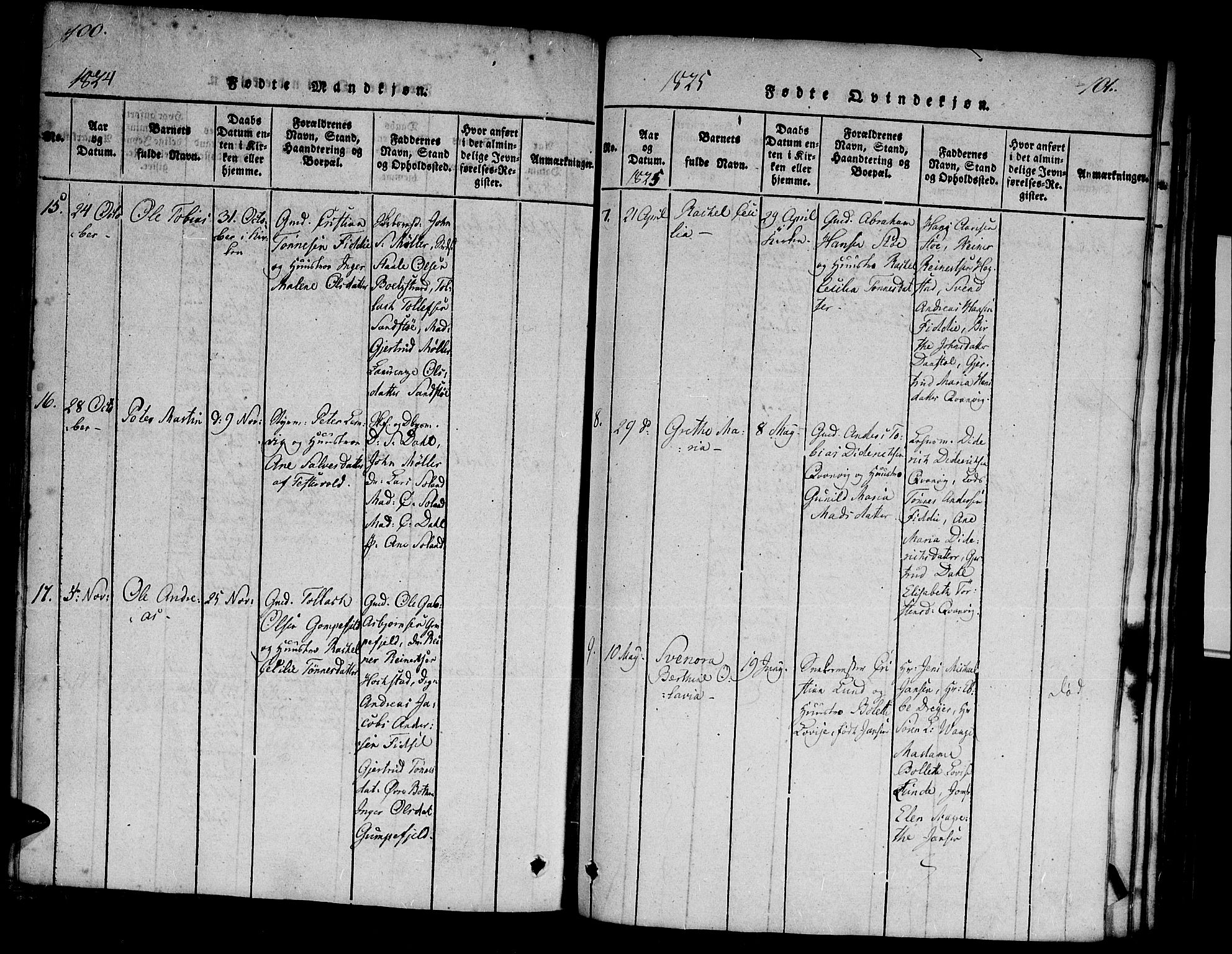 Flekkefjord sokneprestkontor, AV/SAK-1111-0012/F/Fa/Fab/L0003: Ministerialbok nr. A 3, 1815-1830, s. 100-101