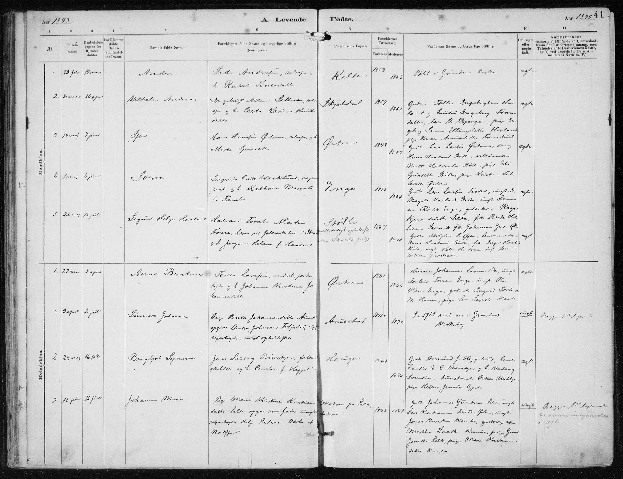 Etne sokneprestembete, AV/SAB-A-75001/H/Haa: Ministerialbok nr. B  1, 1879-1919, s. 41
